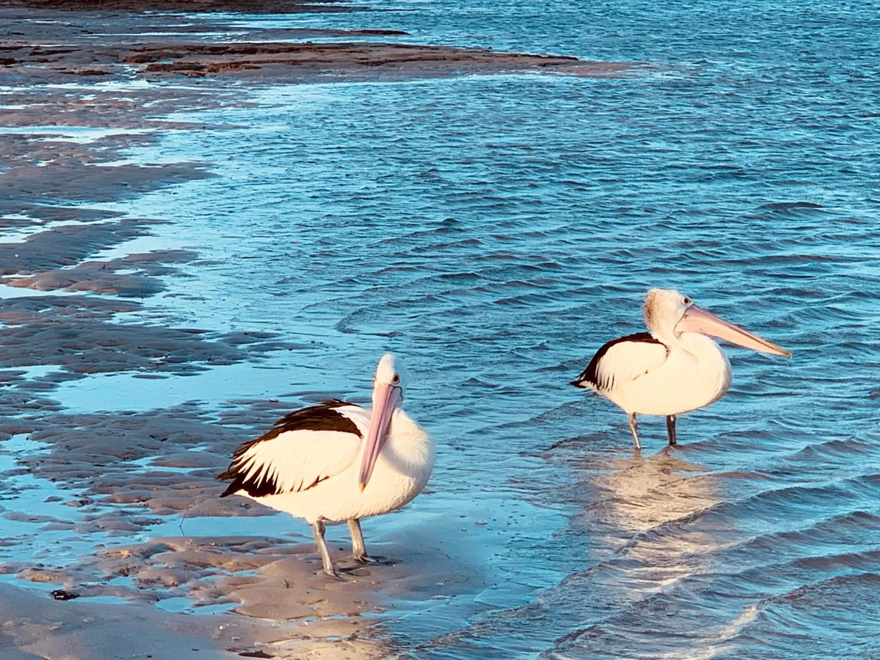 Natural landscape in Tin Can Bay Motel