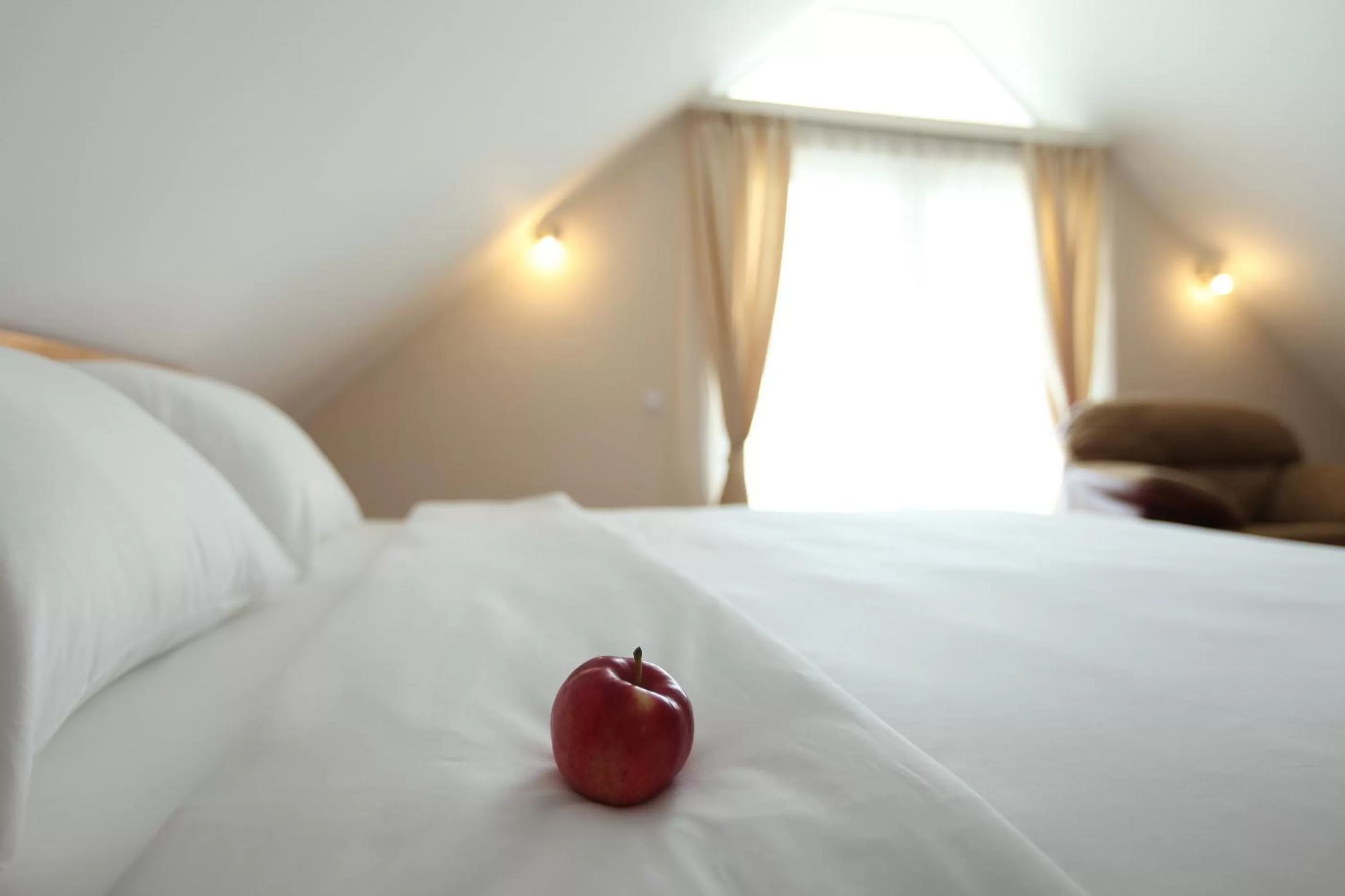 Junior Suite in Hotel Novella Uno