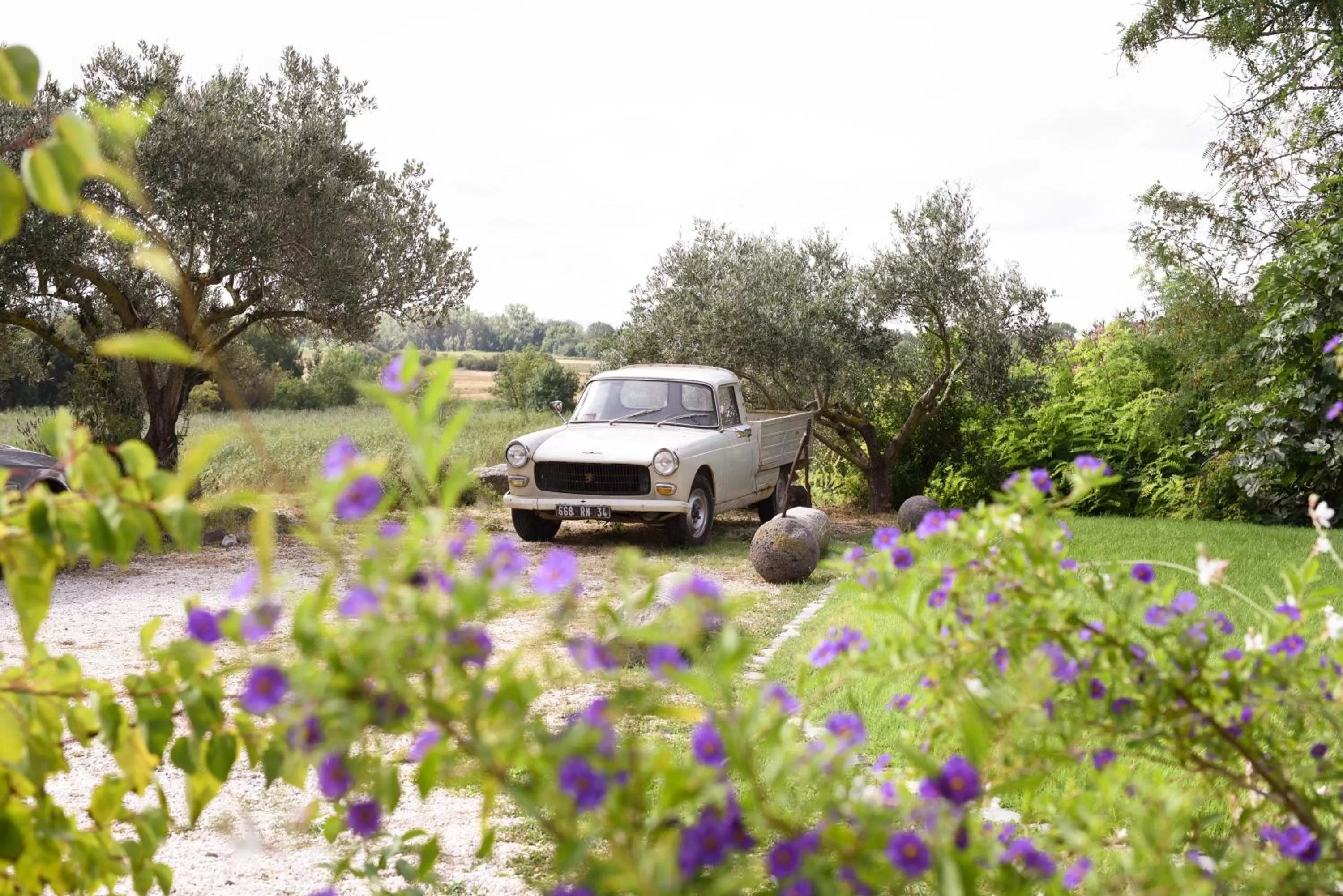 Garden in La Bergerie de l'etang