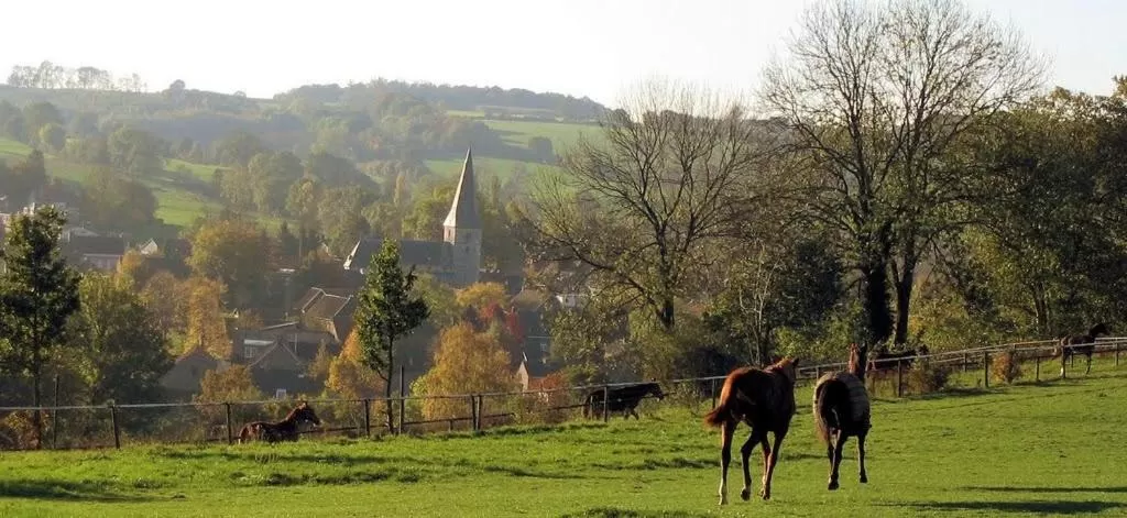 Animals in Herberg St. Brigida
