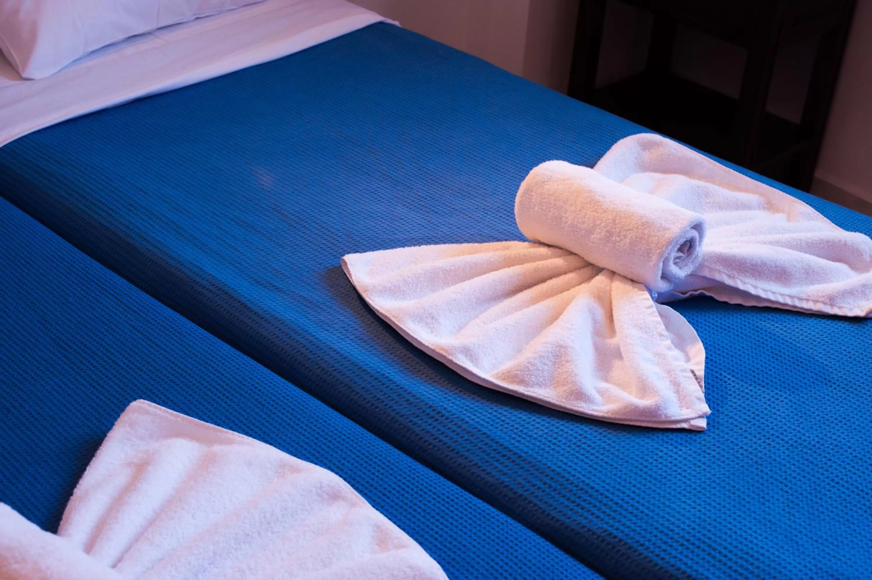 Bed in Poco Loco Bed & Breakfast