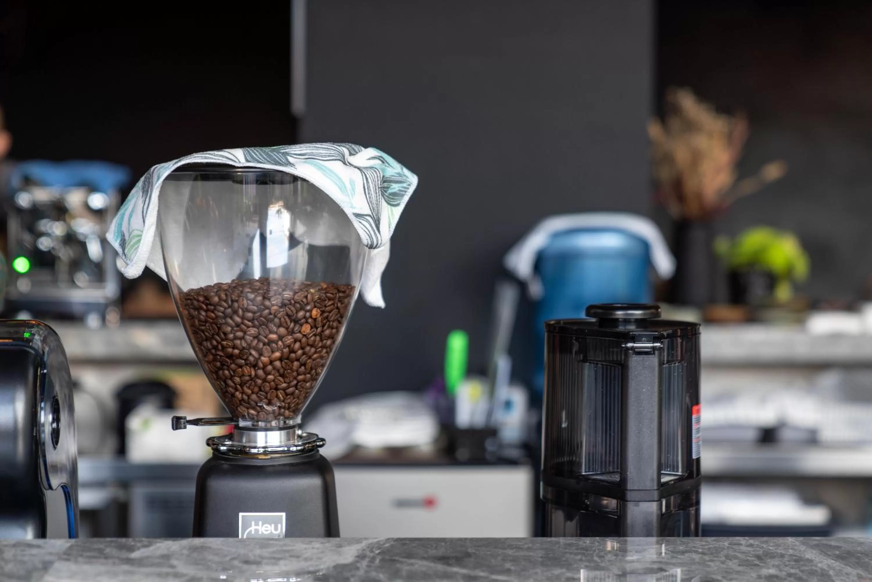 Restaurant/places to eat in H Hotel El Nido - Vegan Friendly Hotel Managed by H Hospitality Group