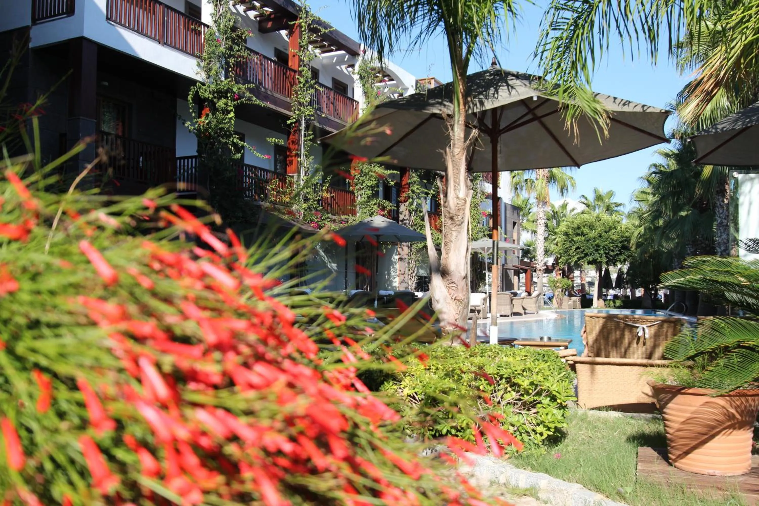 Facade/entrance in Olira Boutique Hotel&SPA