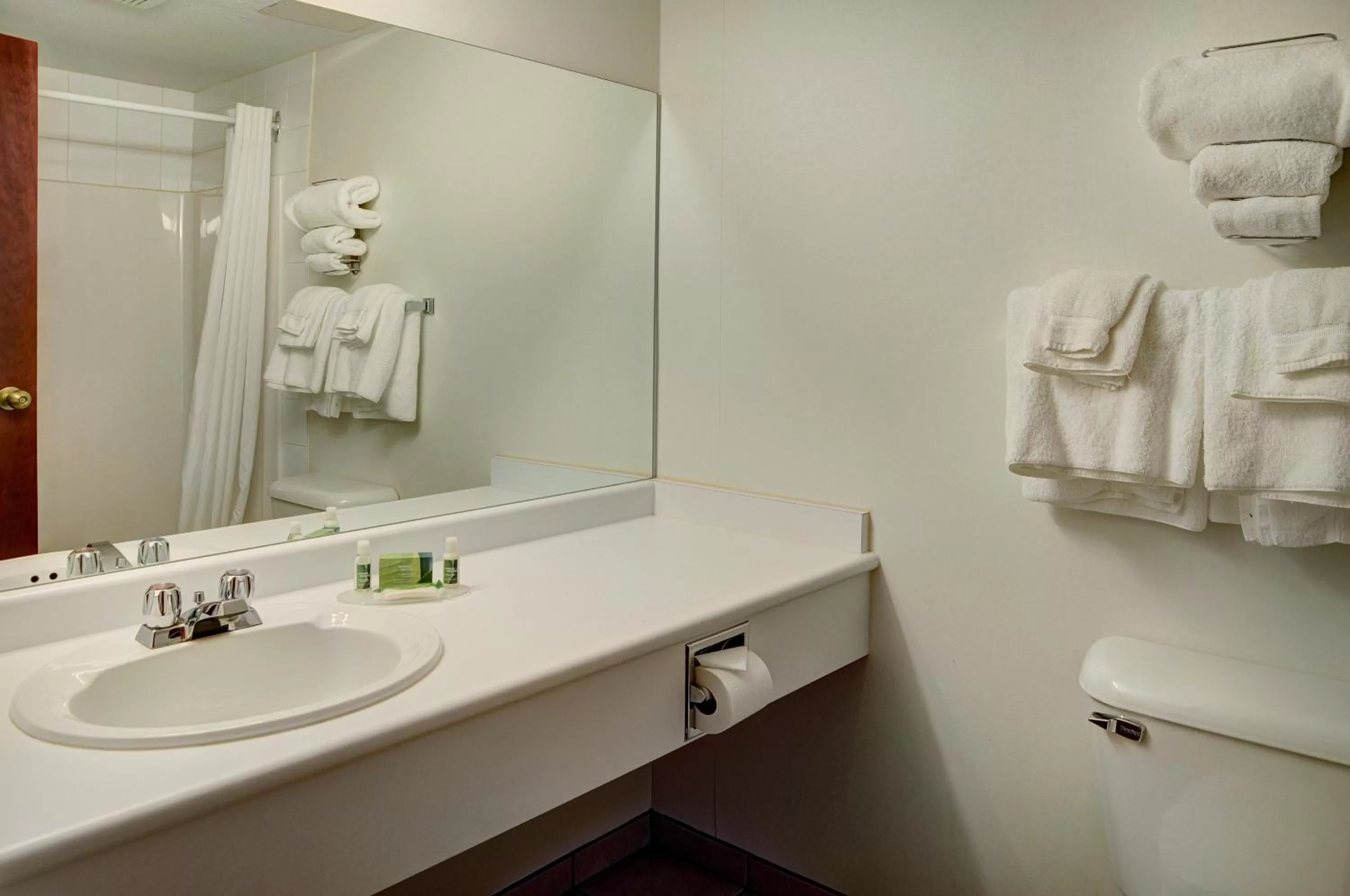 Shower in Lakeview Inns & Suites - Fort Saskatchewan