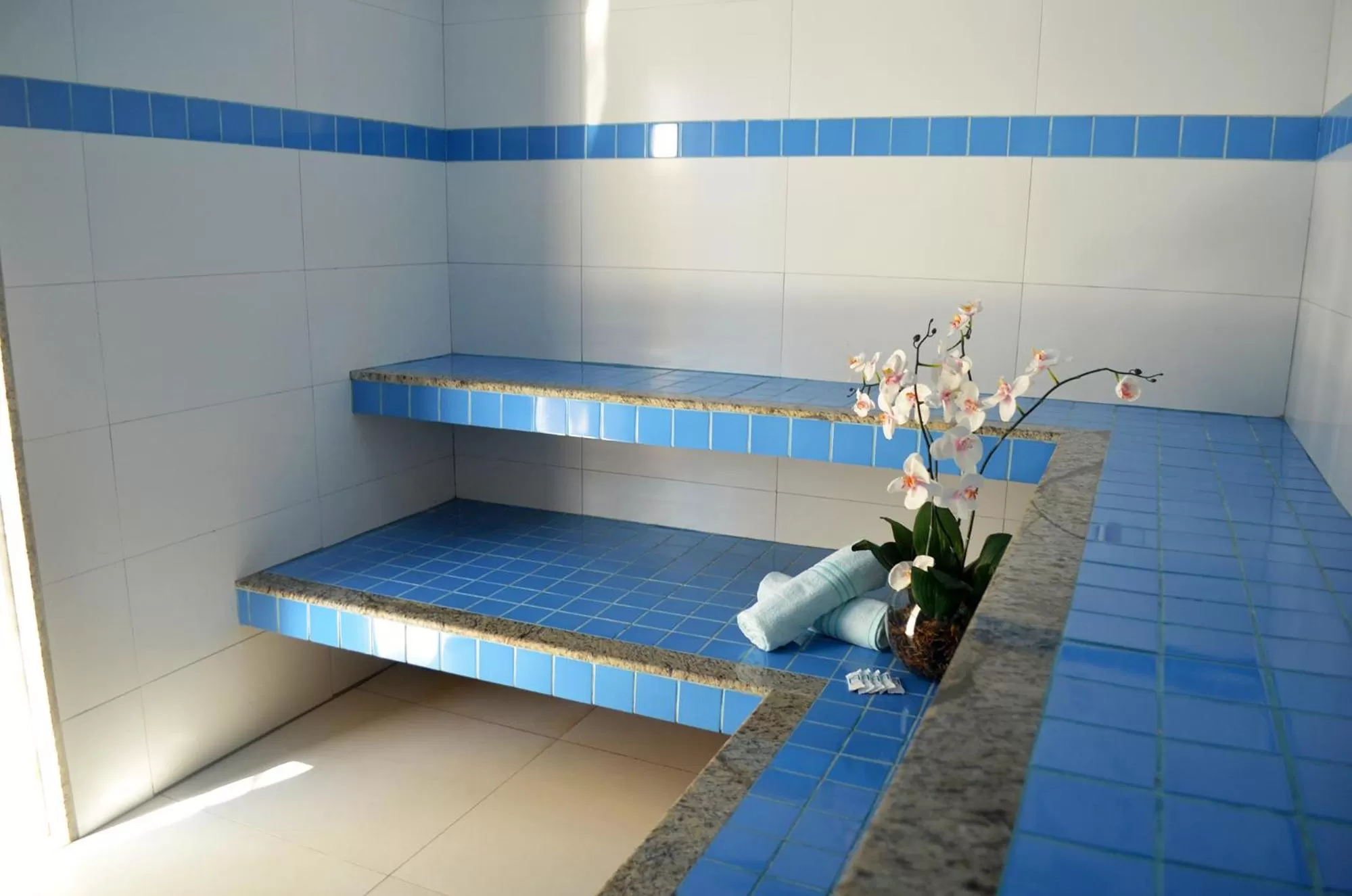 Sauna, Bed in Pontal Praia Hotel