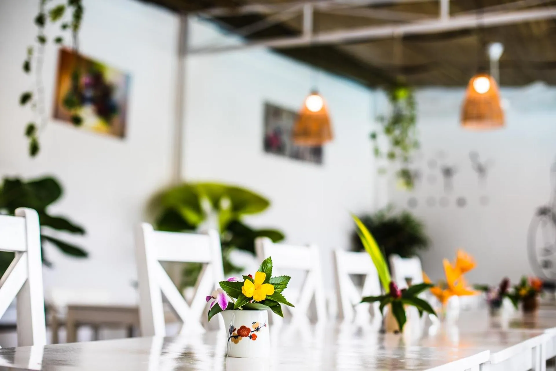 Miana Resort Phu Quoc