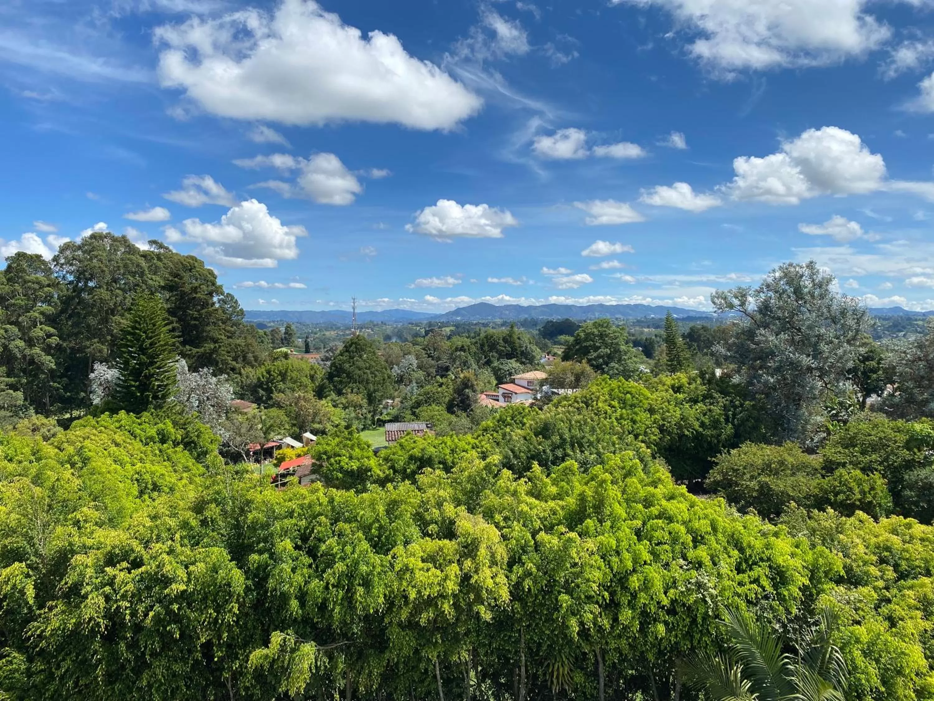Balcony/Terrace in Hotel Campo Real