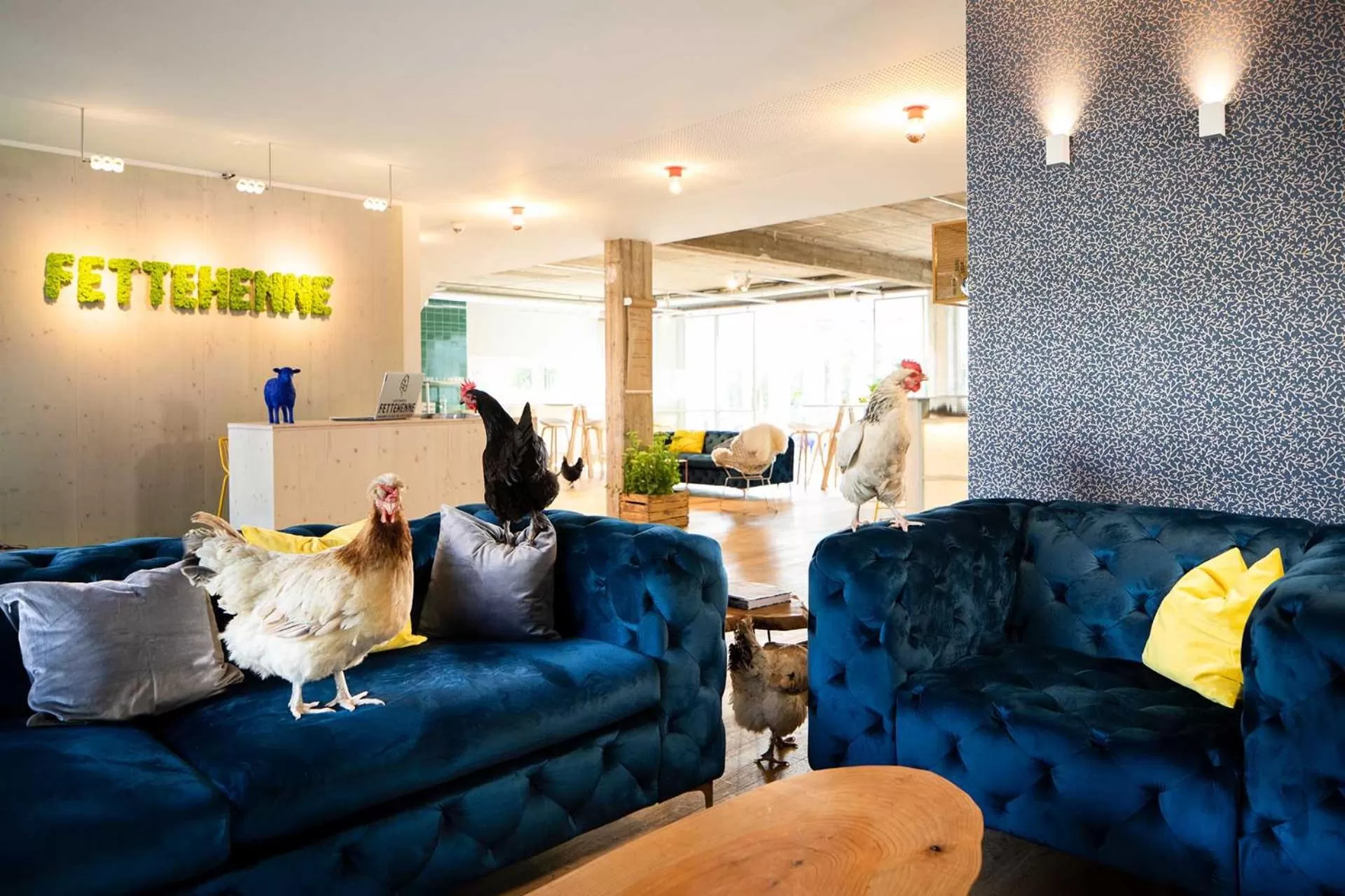 Lobby or reception in Gartenhotel Fettehenne