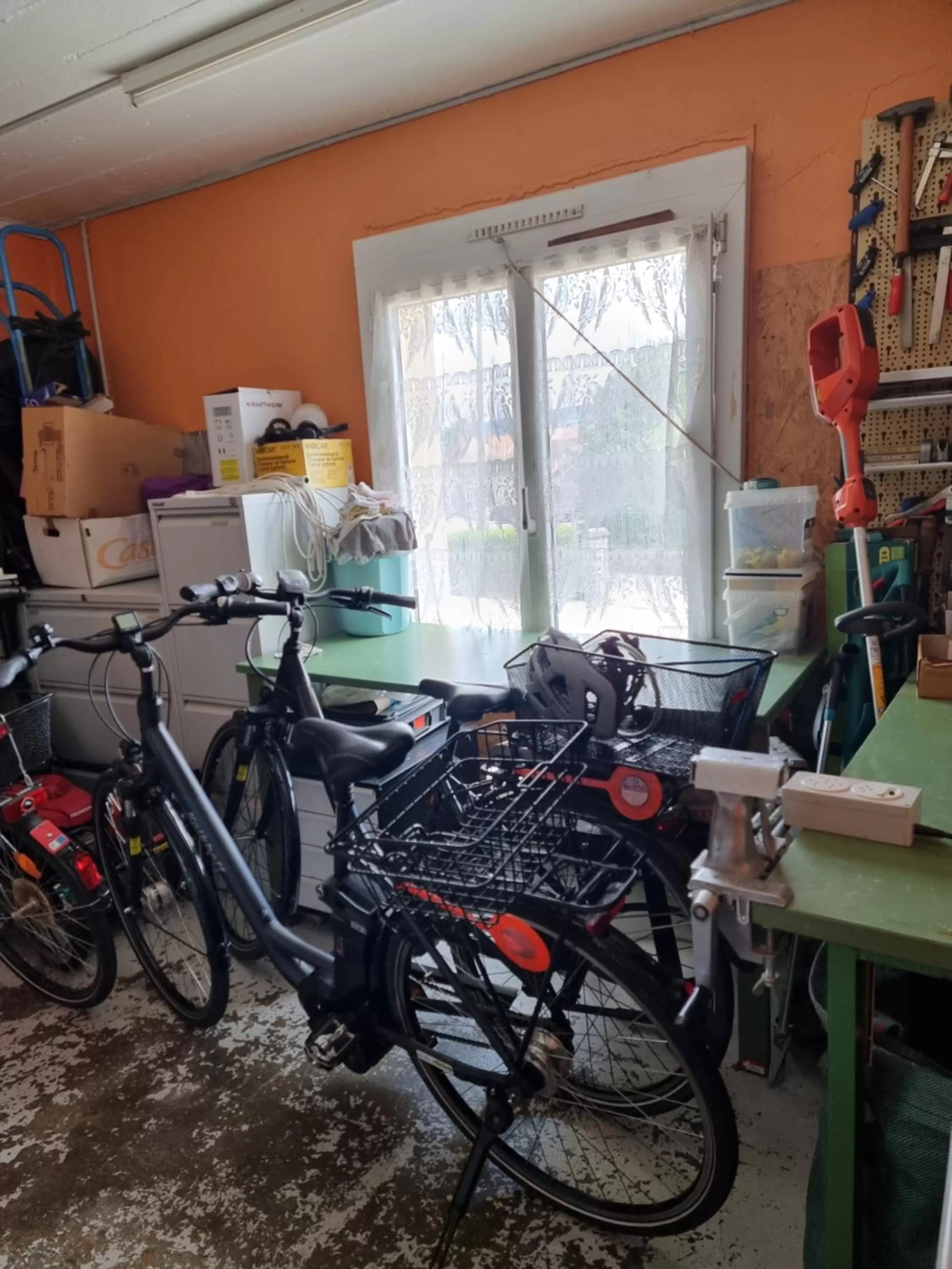 Cycling in BNB Tuileries