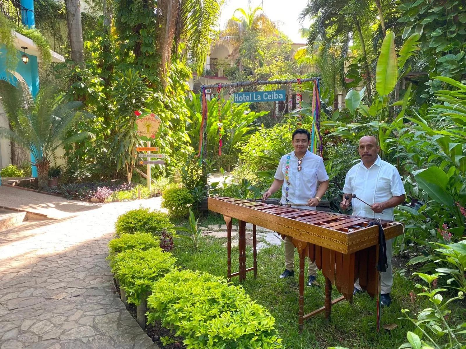 Garden view in Hotel La Ceiba