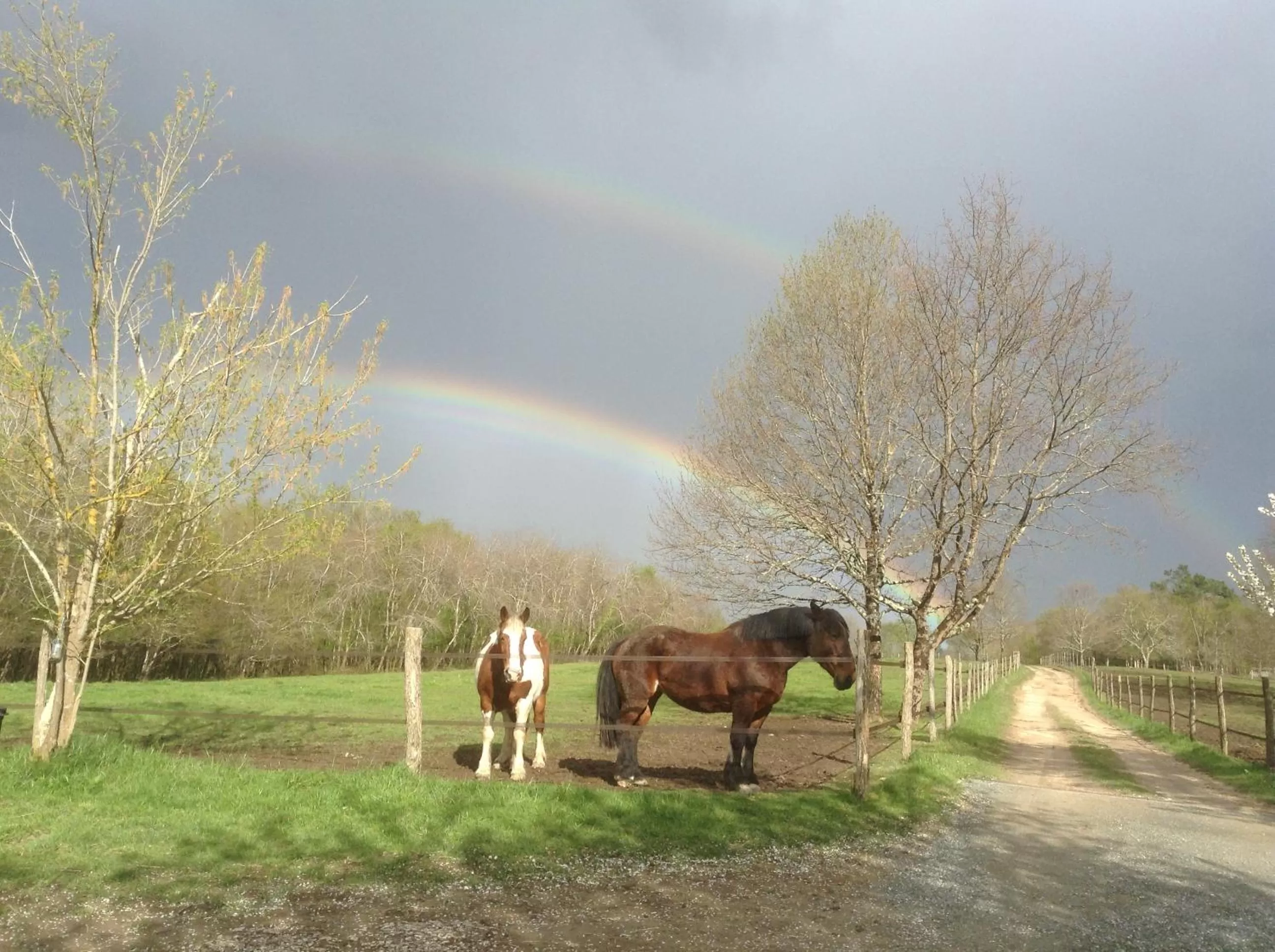 Garden, Other Animals in Domaine verte vallée