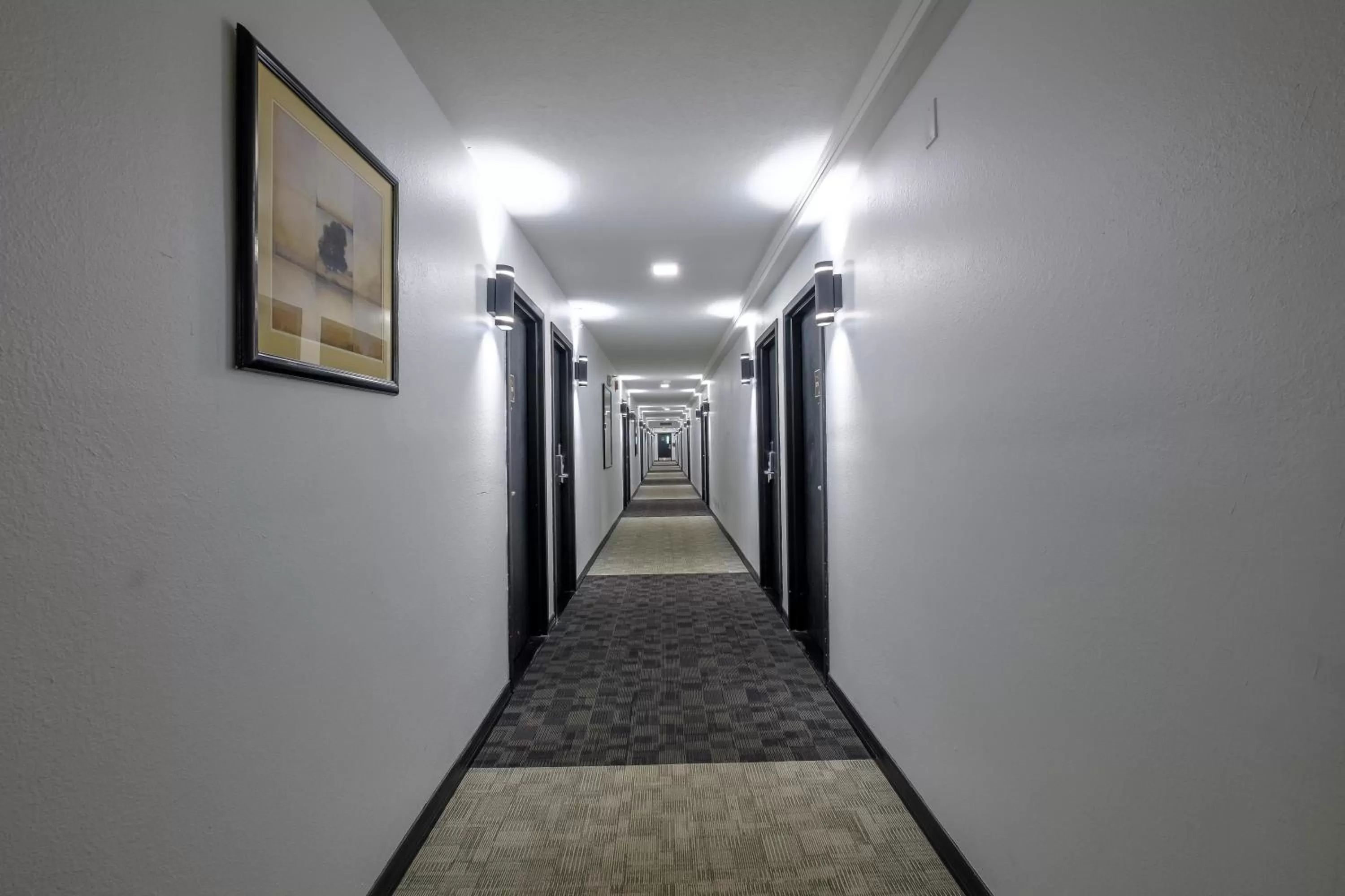 Lobby or reception in Red Roof Inn PLUS Orlando-Convention Center- Int'l Dr