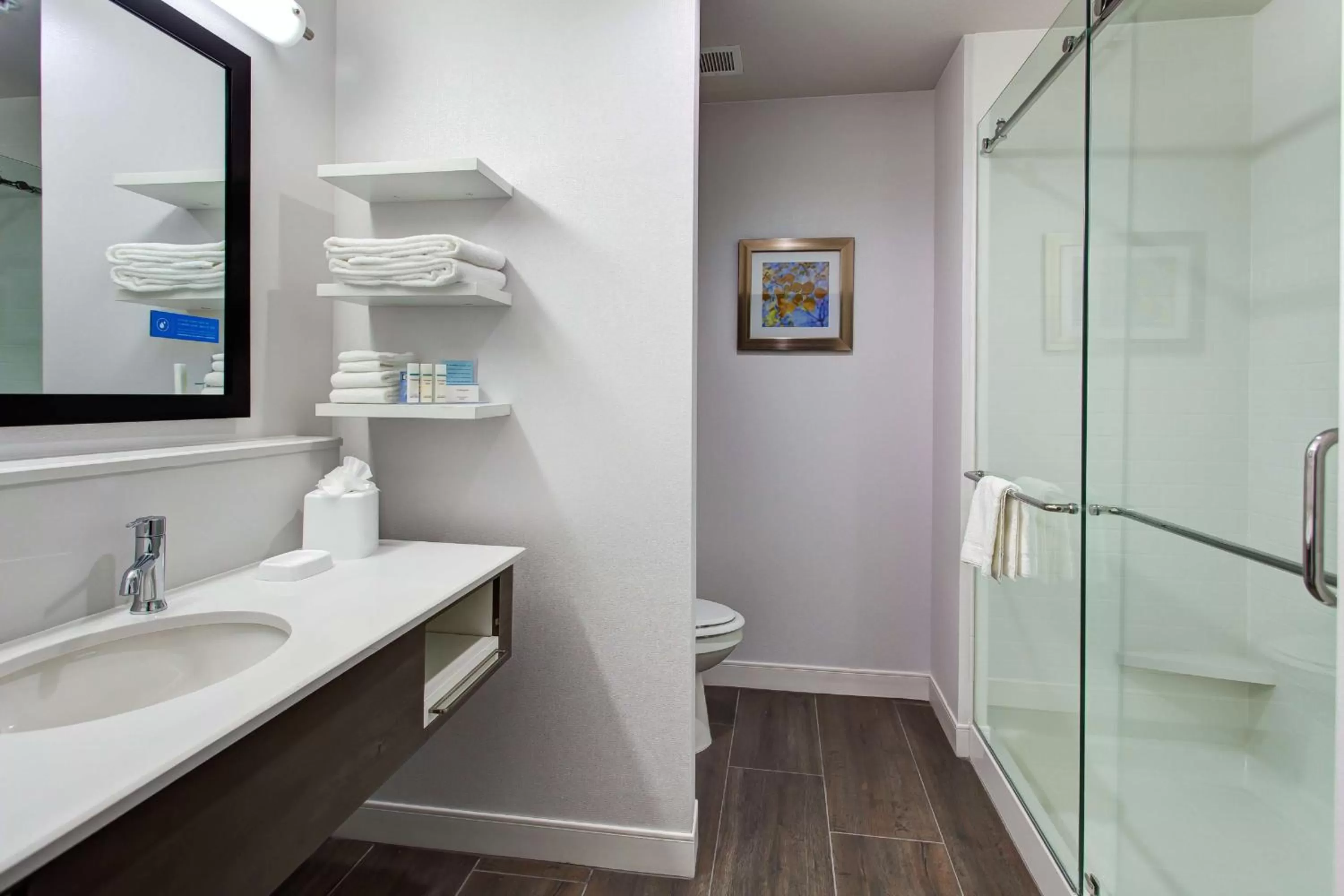 Bathroom in Hampton Inn & Suites-Wichita/Airport, KS