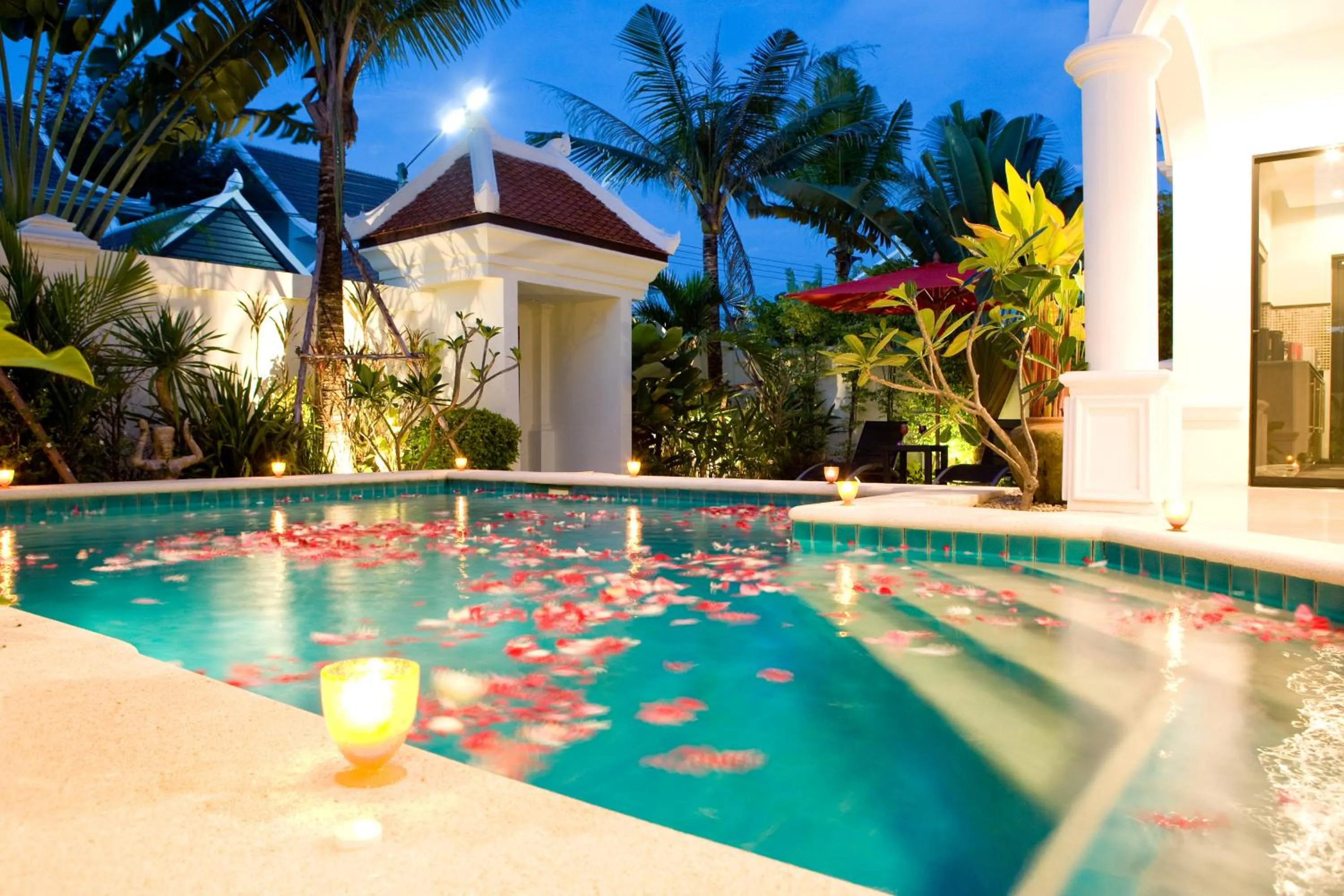 Swimming pool in Palm Grove Resort, Pattaya