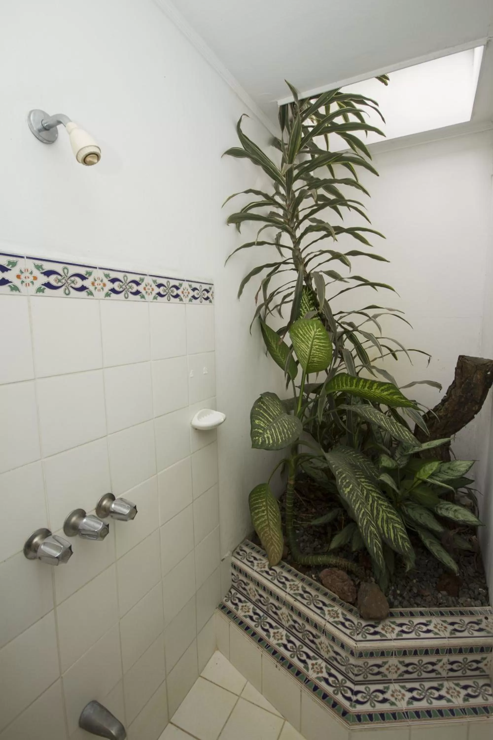 Shower in Hotel 1492