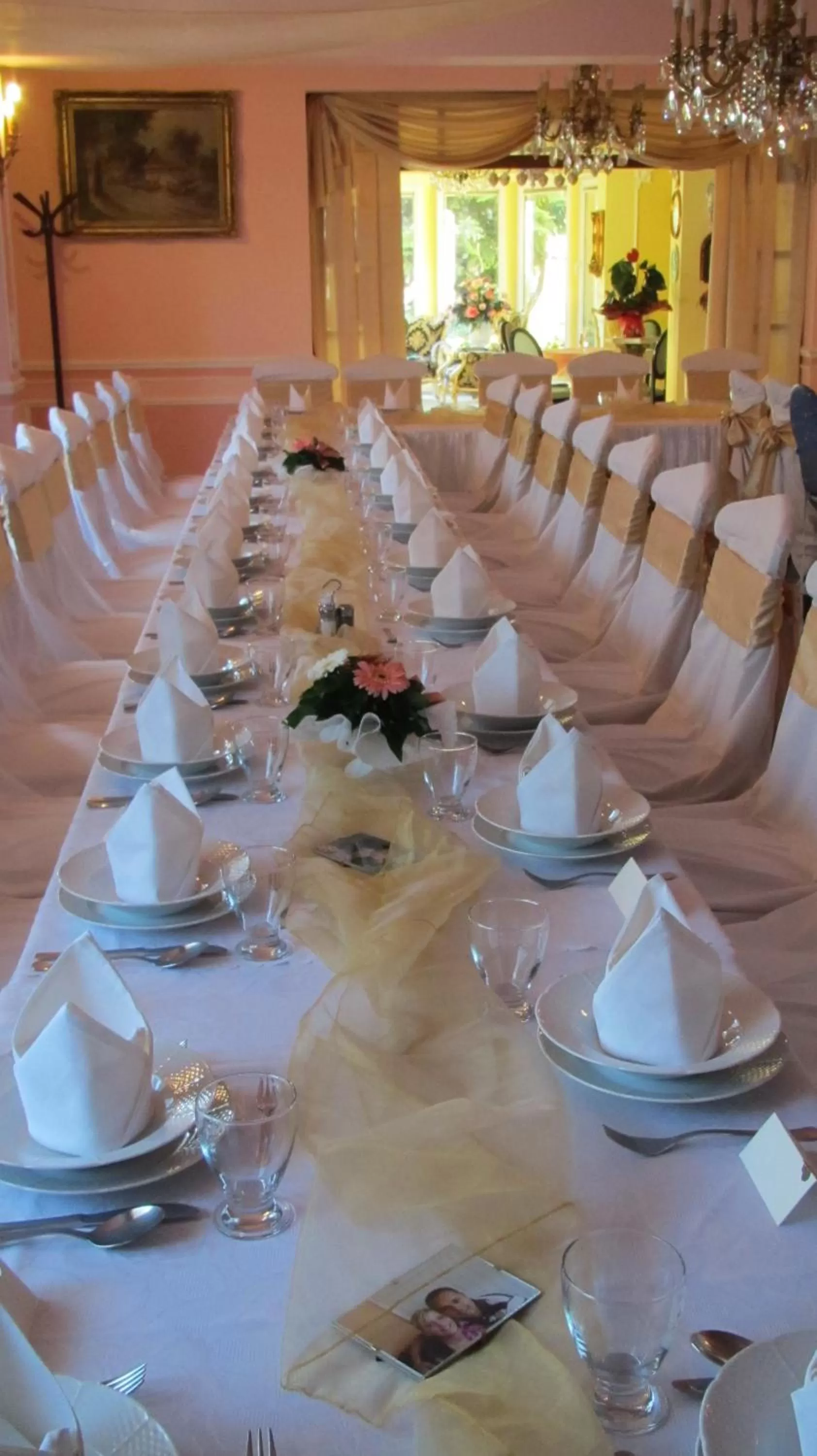 Restaurant/places to eat, Banquet Facilities in Hotel Panorama