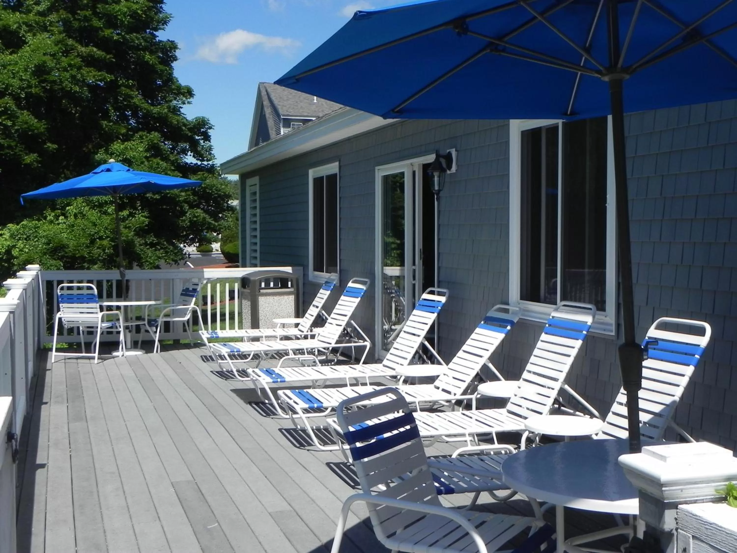 Swimming pool in Elmwood Resort Hotel