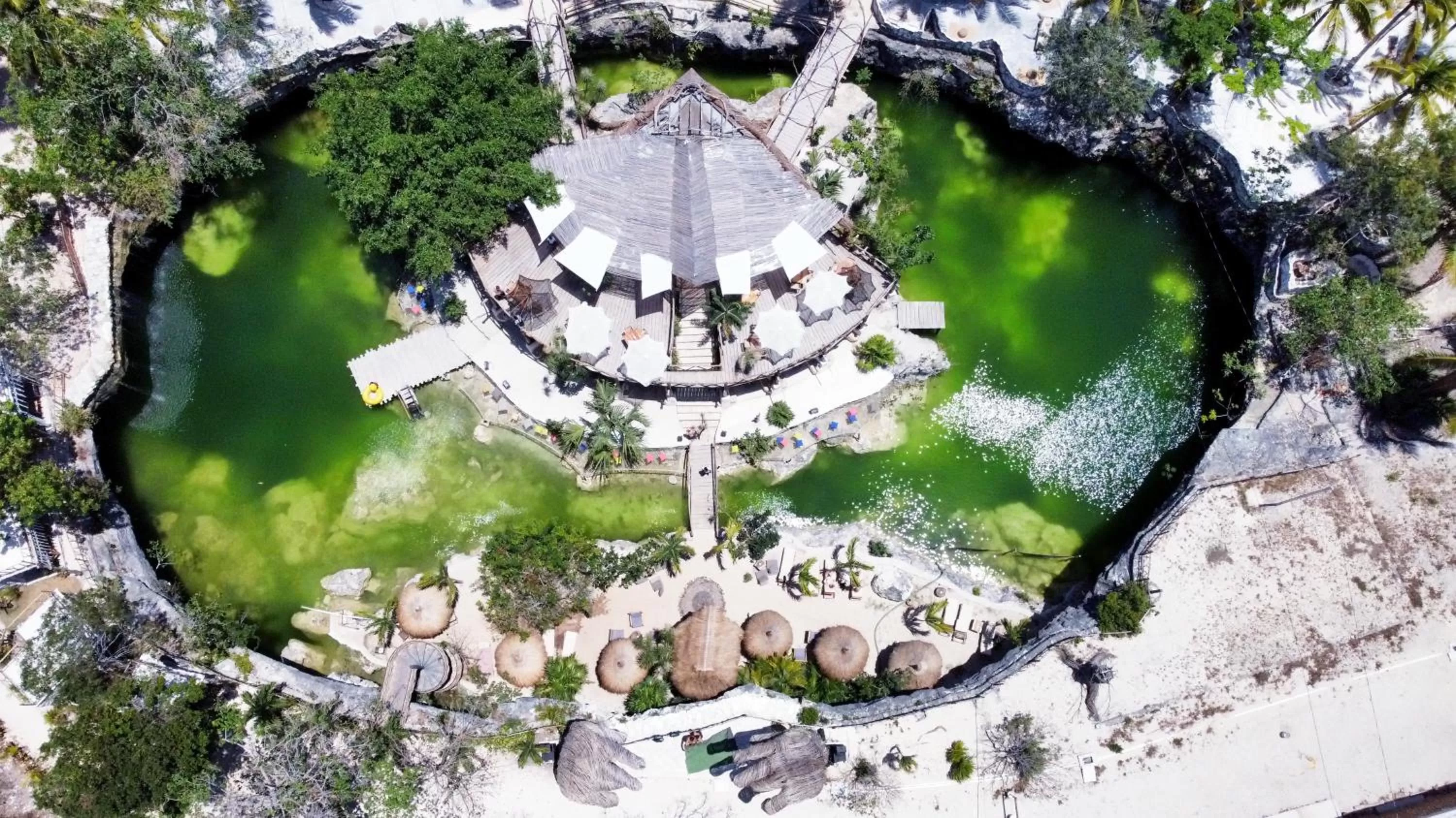 Bird's eye view in Zenote Sanctuary