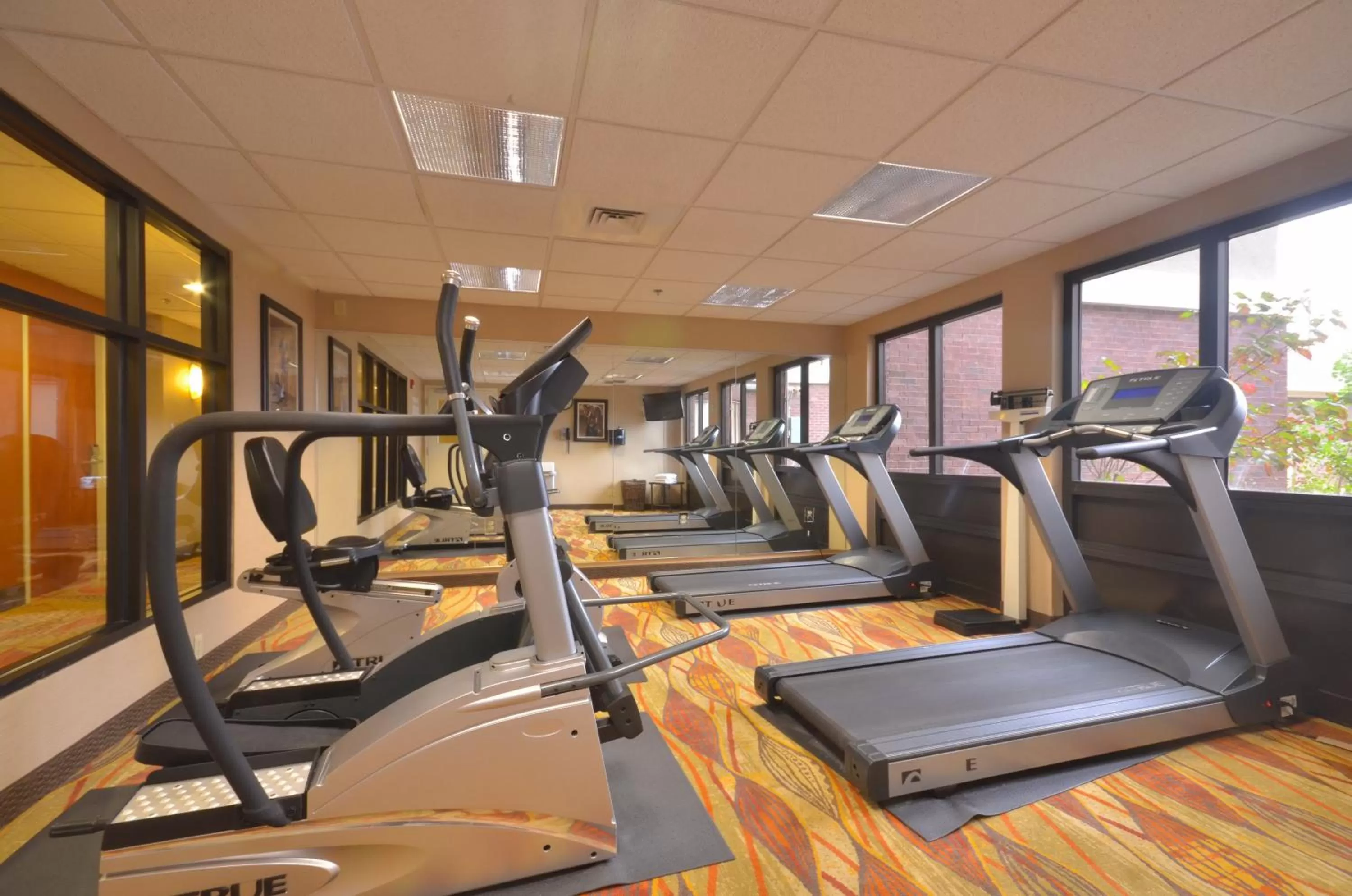 Fitness centre/facilities in Holiday Inn Express & Suites Pine Bluff/Pines Mall by IHG