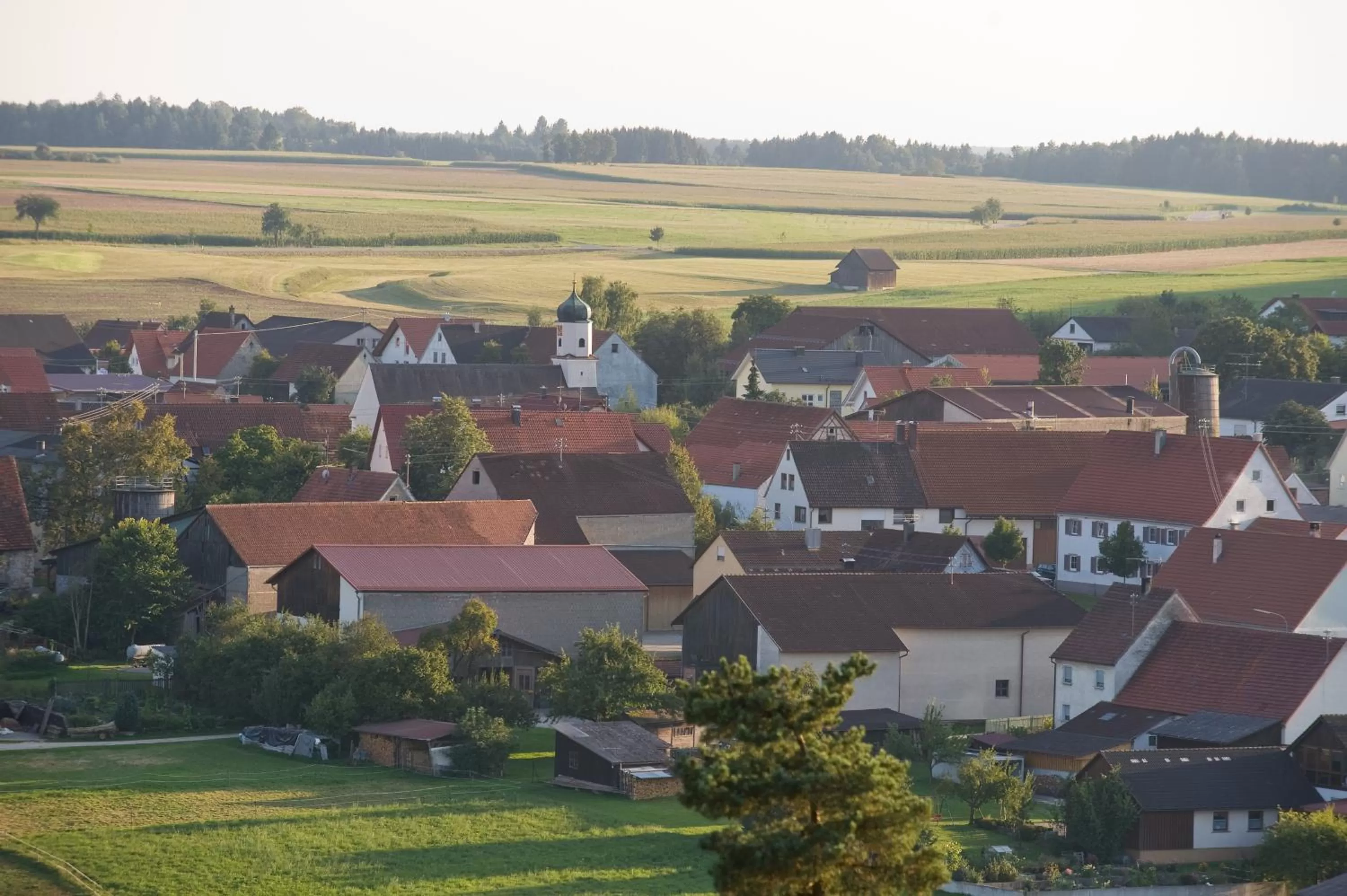 Natural landscape, Bird's-eye View in Biohotel-Restaurant Rose
