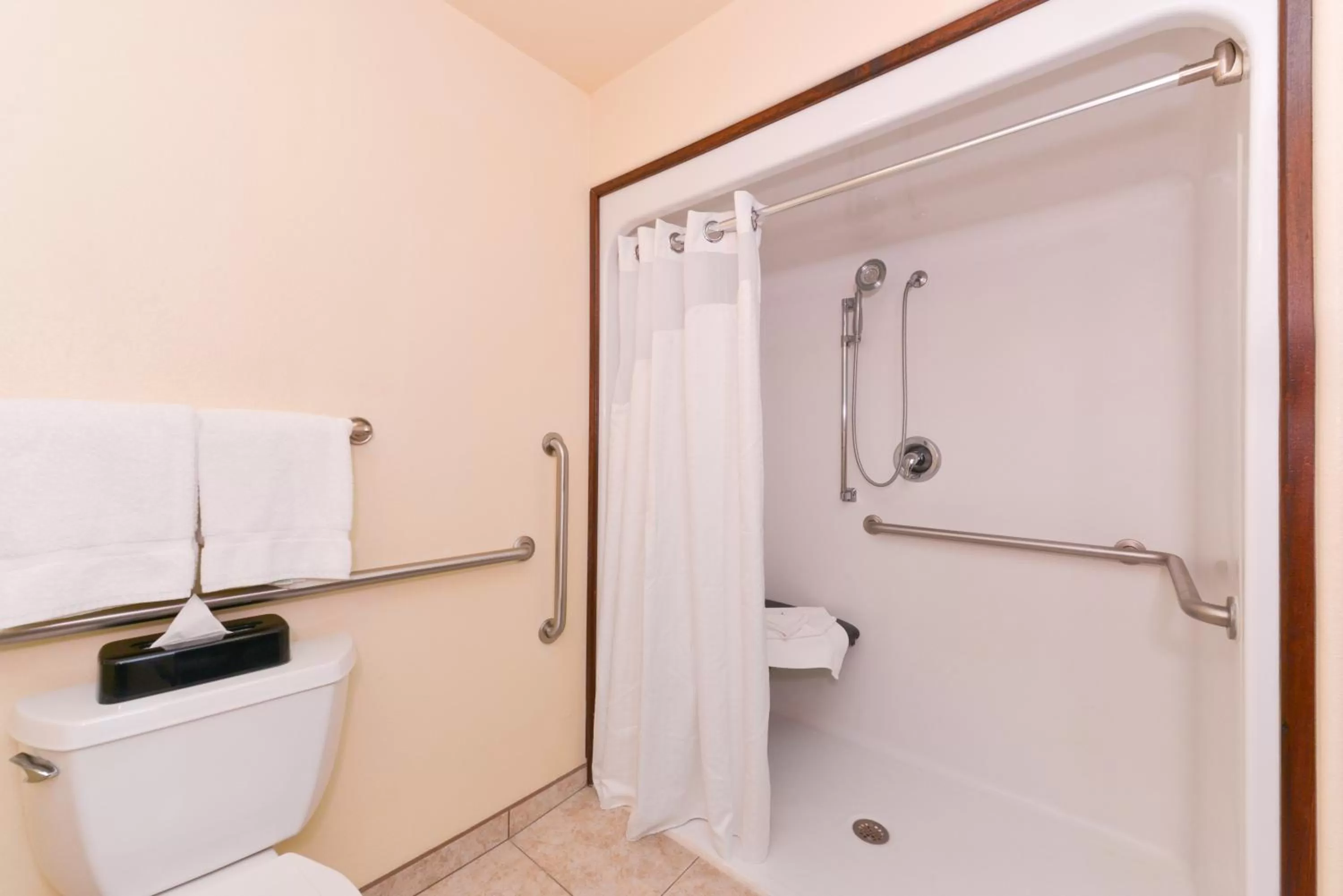 Bathroom in Holiday Inn Express & Suites Alamosa by IHG