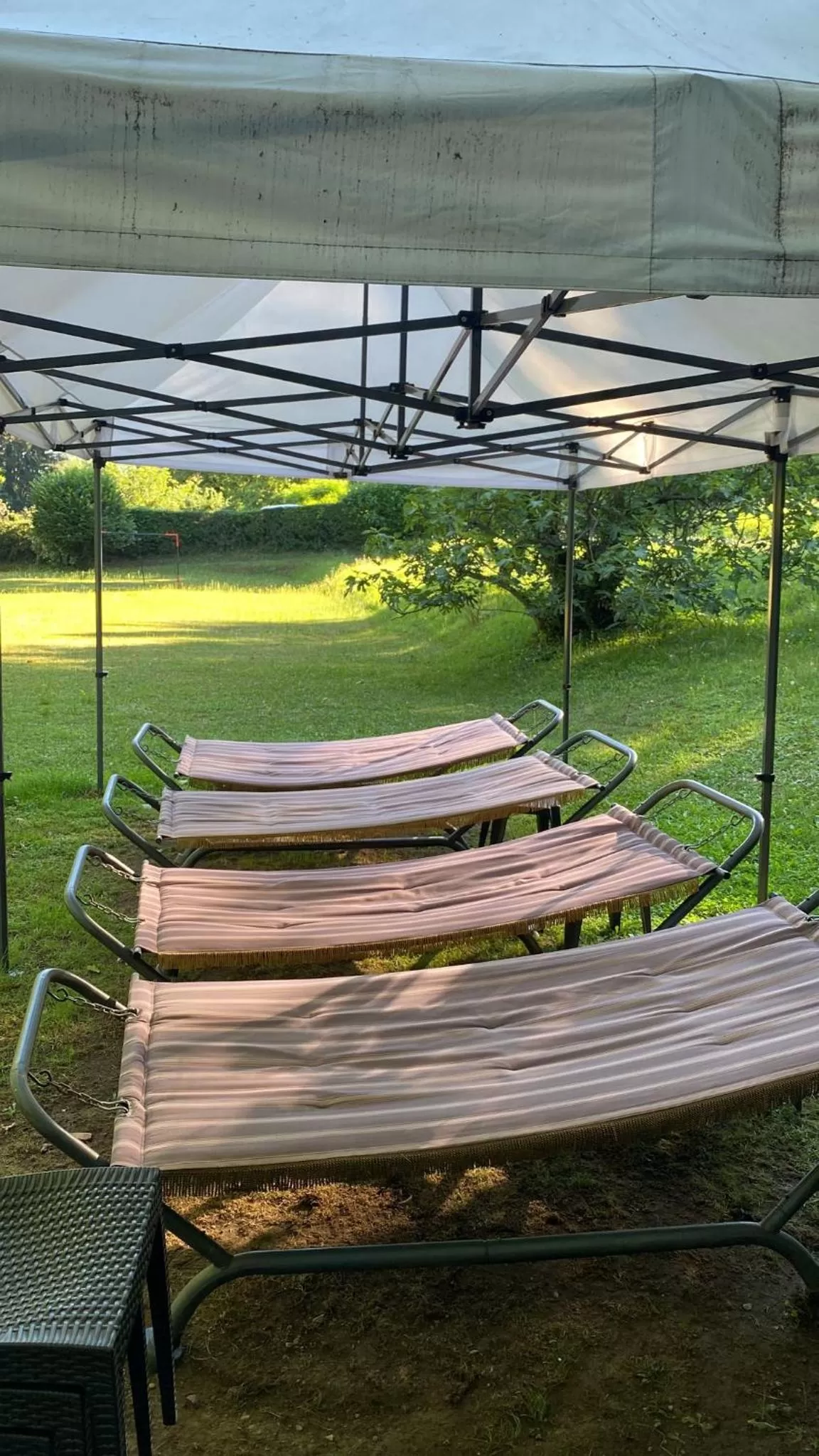 Garden in "La Selvetta" bed and breakfast