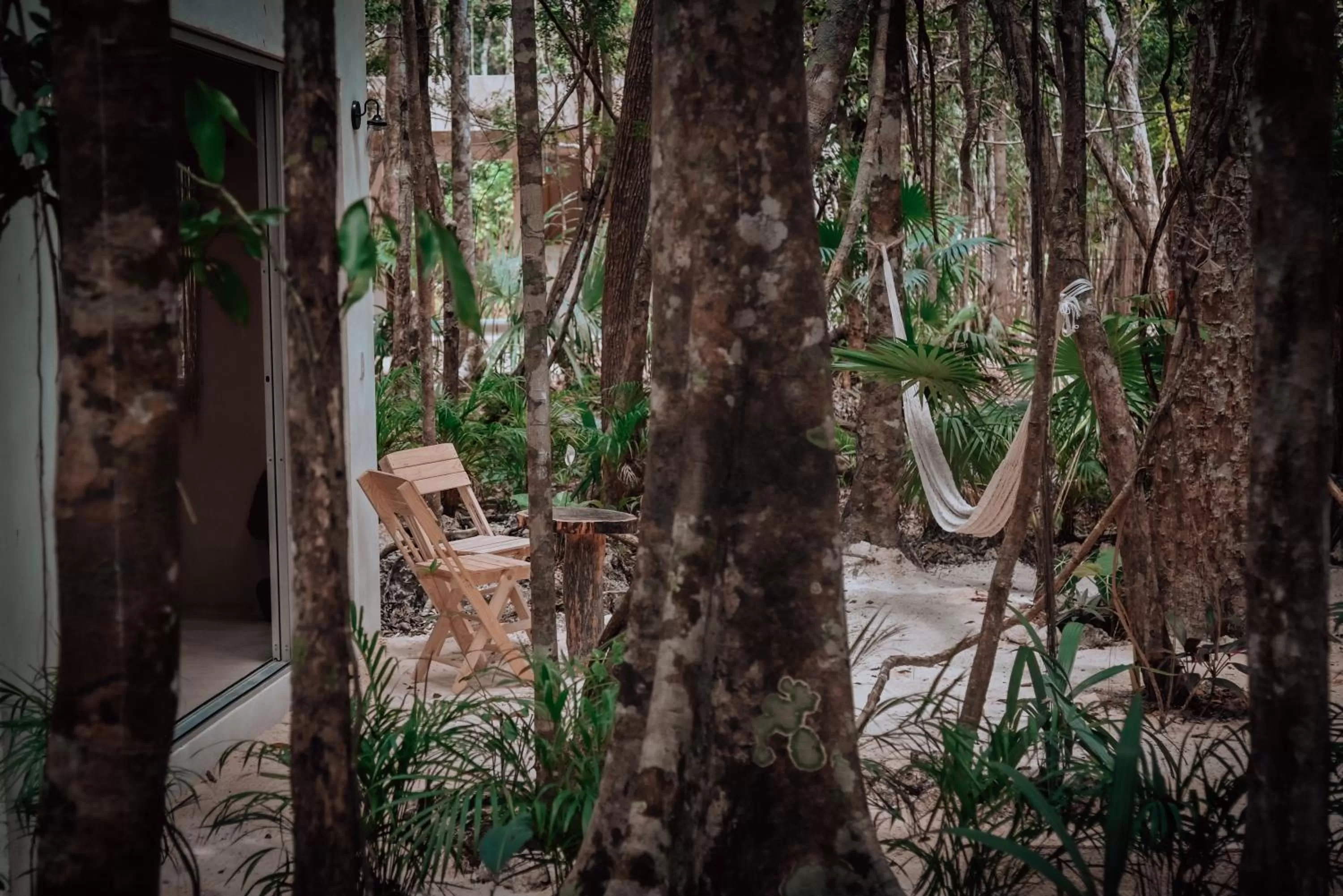 Garden in Lunita Jungle Experience