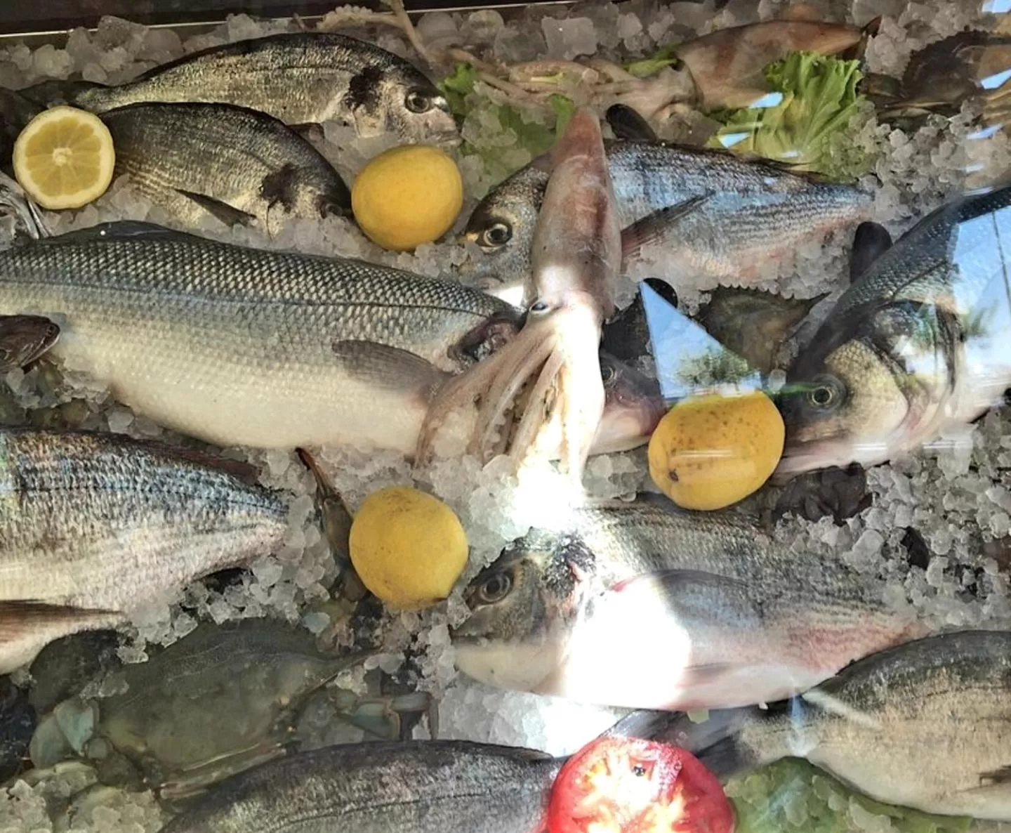 Food and drinks in Dhima Hotel