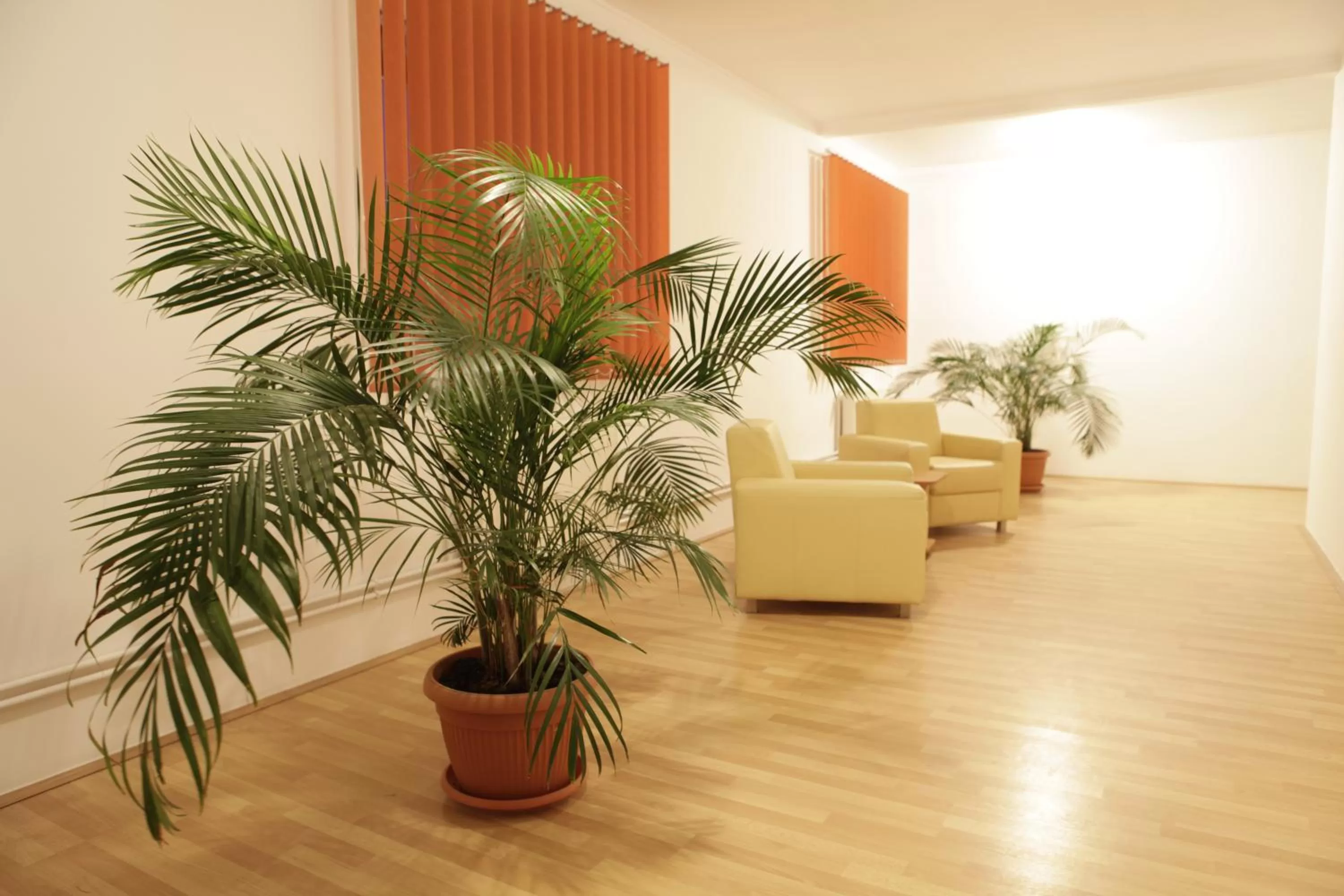 Decorative detail in Hotel Romantik