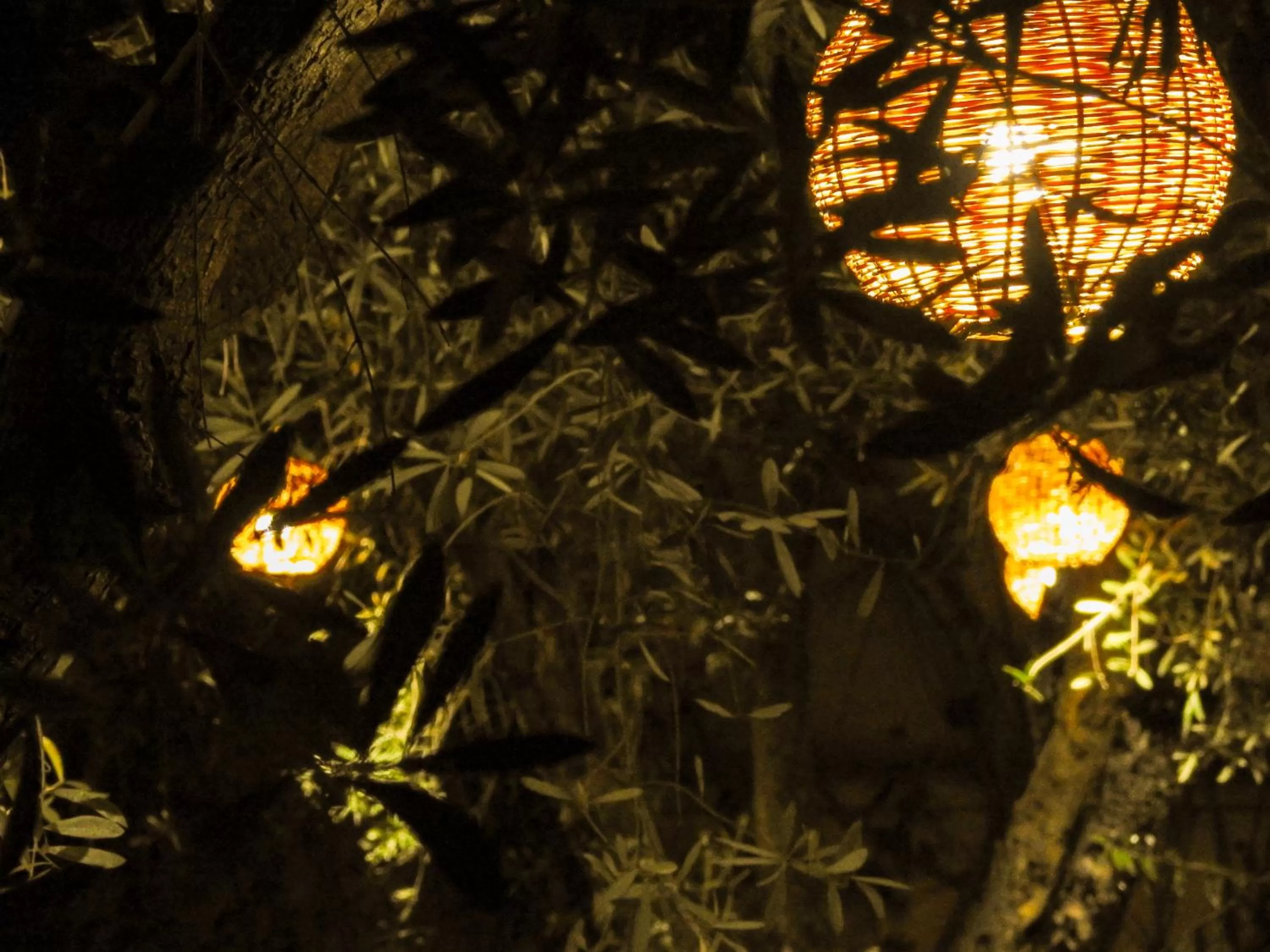 Patio in Le Bleu House