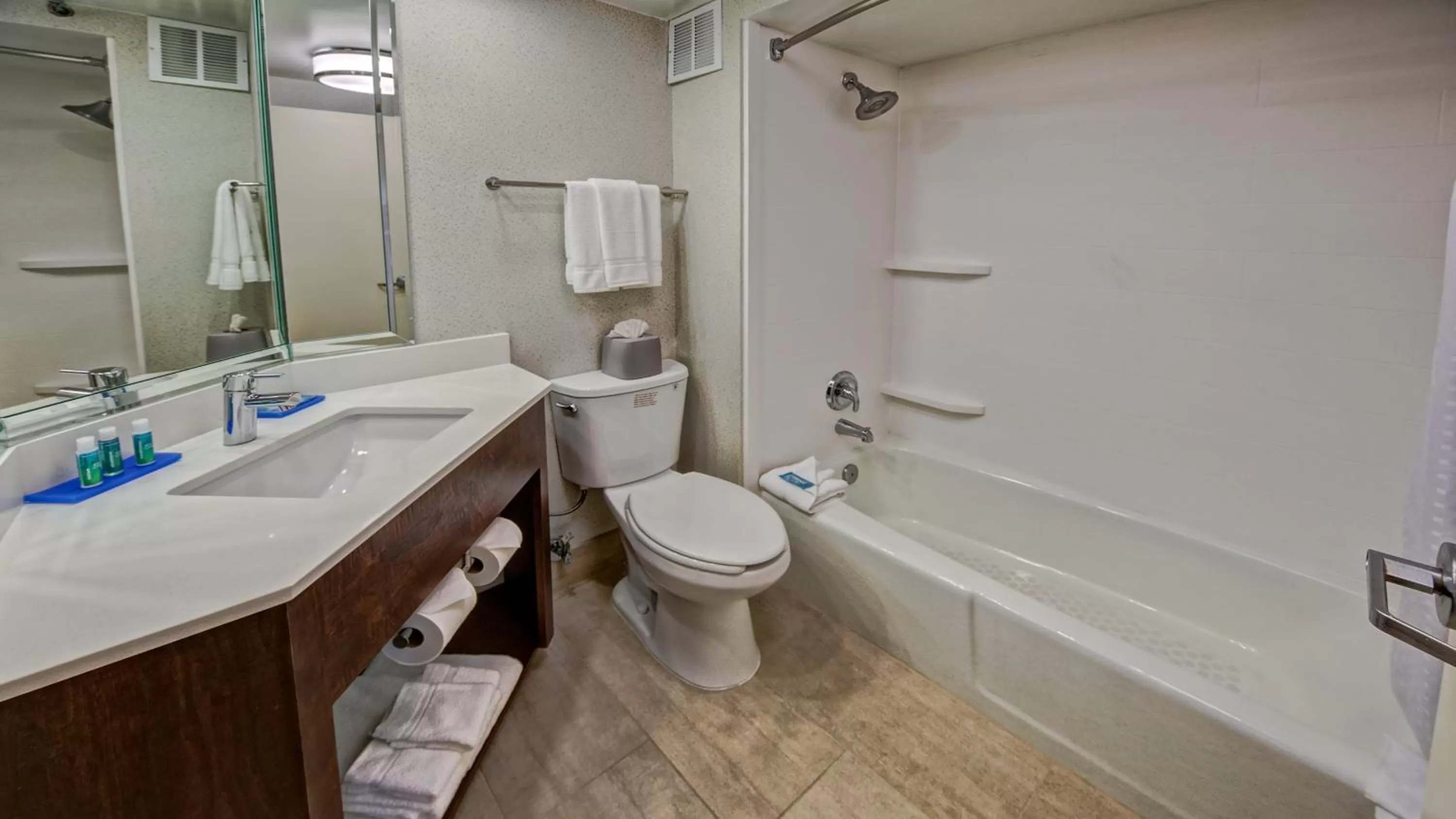 Bathroom in Holiday Inn Express Memphis Medical Center - Midtown by IHG