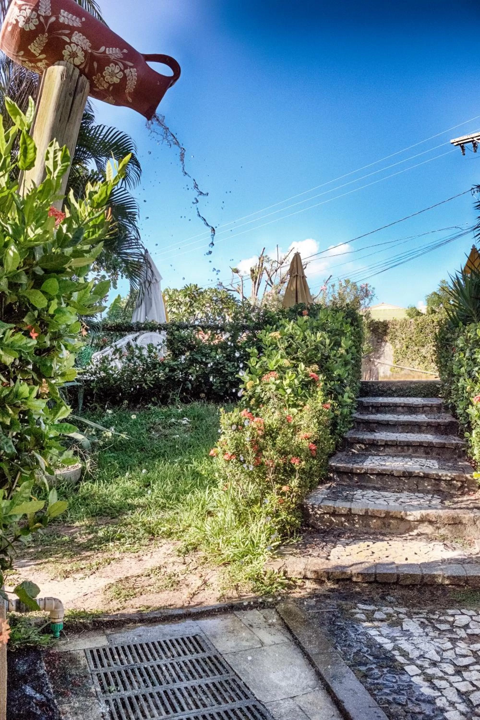 Garden in Pousada Ipitanga IV