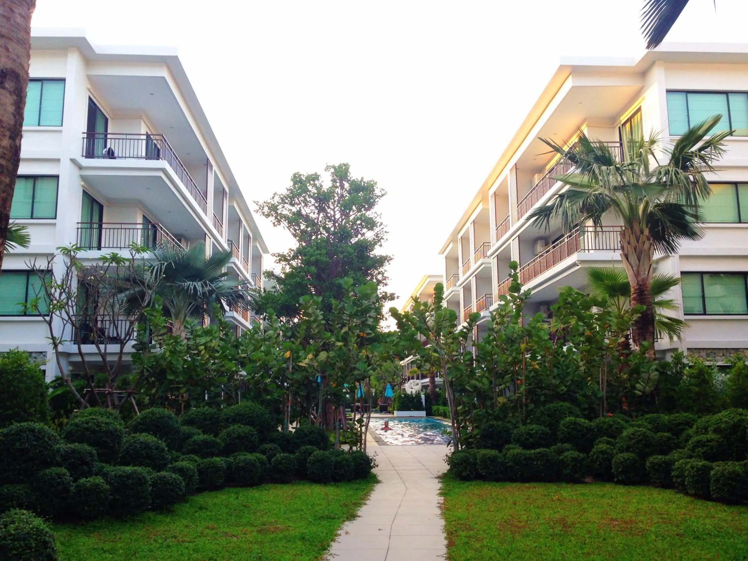 Natural landscape in The Title KR Beach Condotel Rawai Beach