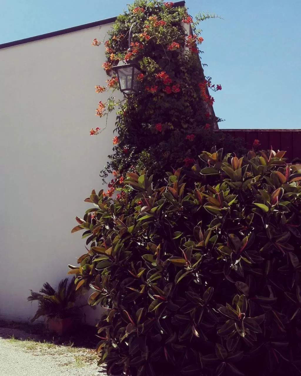 Garden view in Nenna Country