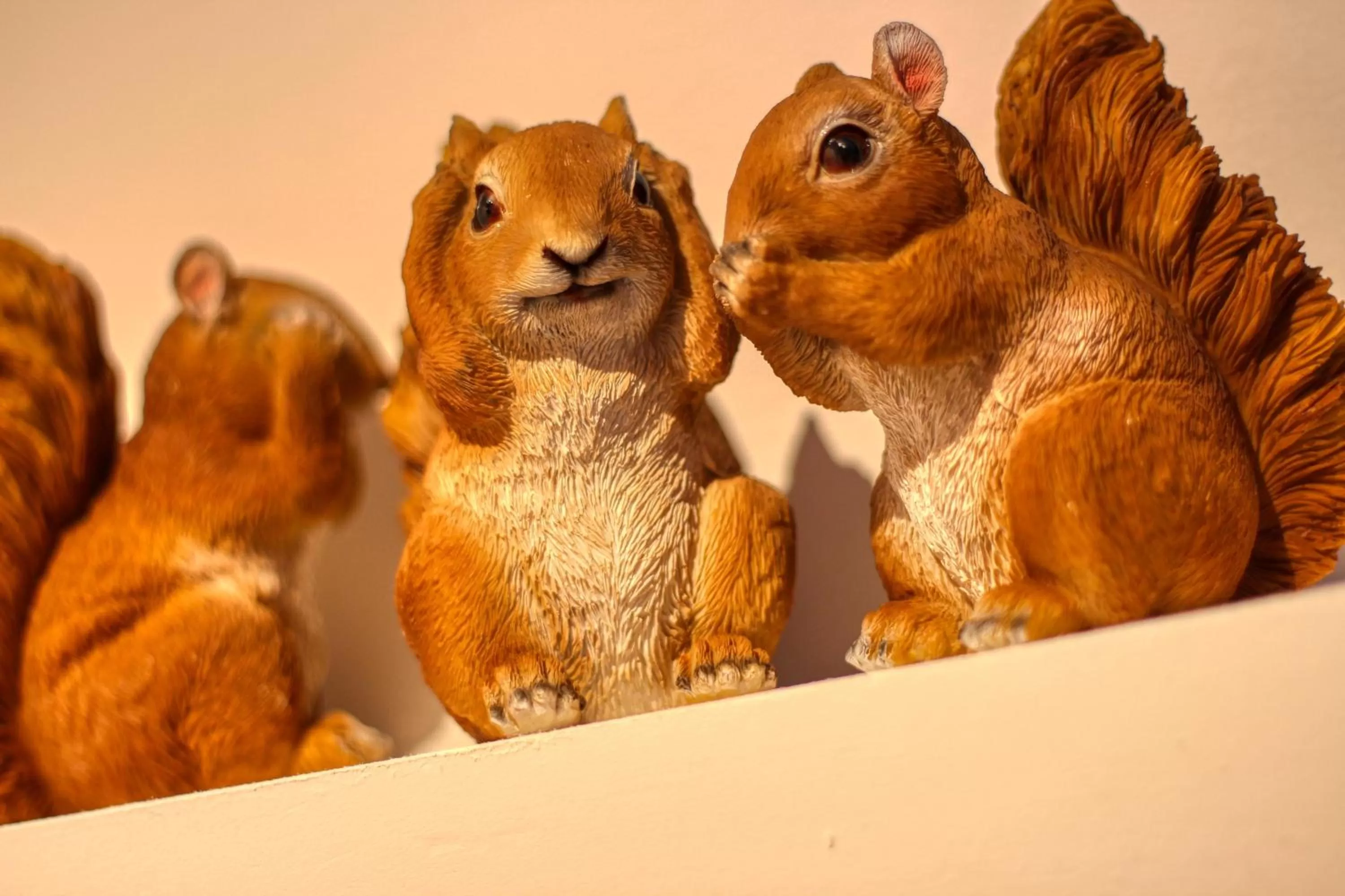 Decorative detail, Other Animals in KERBELEG, ferme-manoir du XVè siècle, chambres grand confort