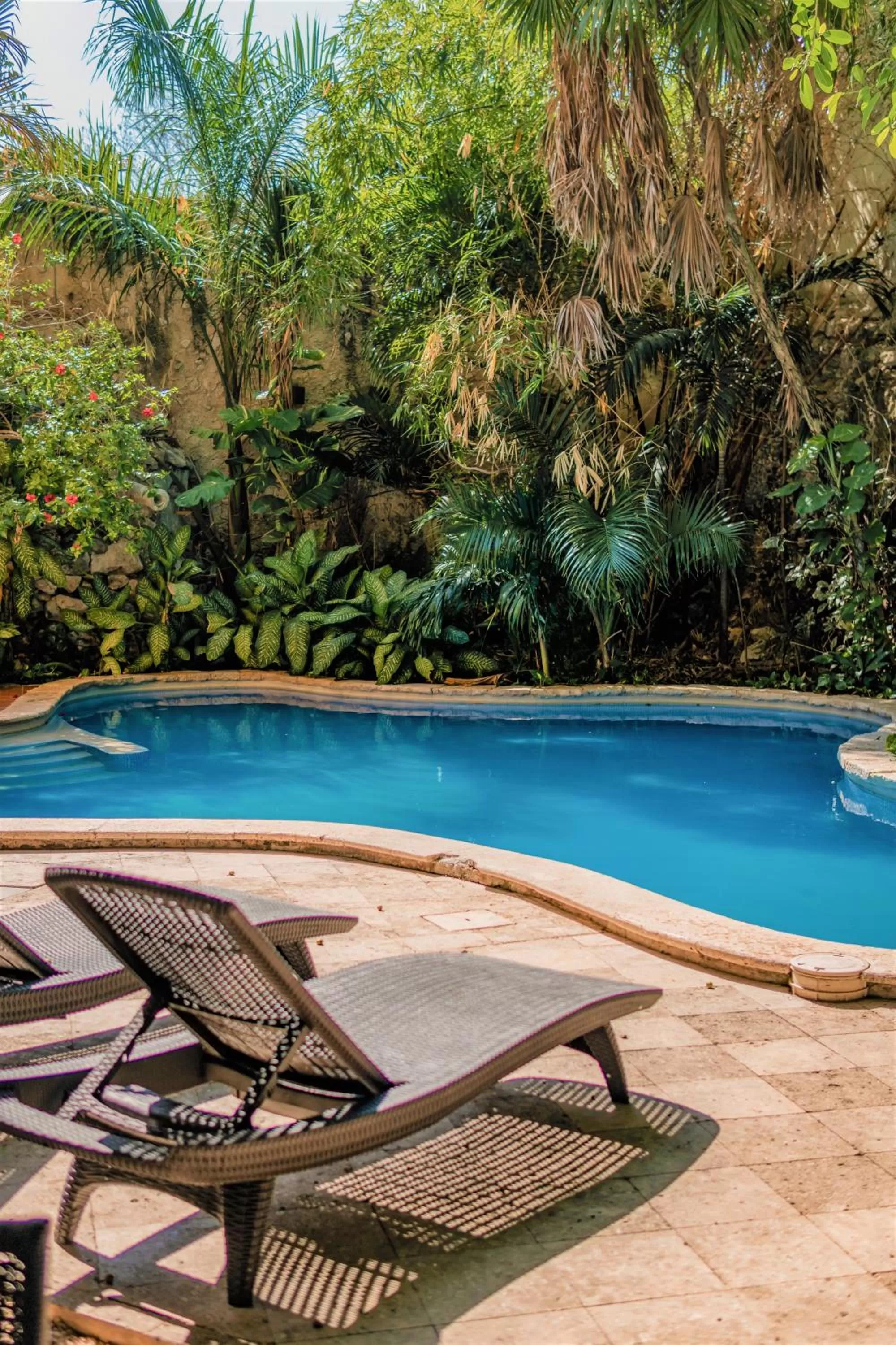 Swimming pool in Maison del Embajador