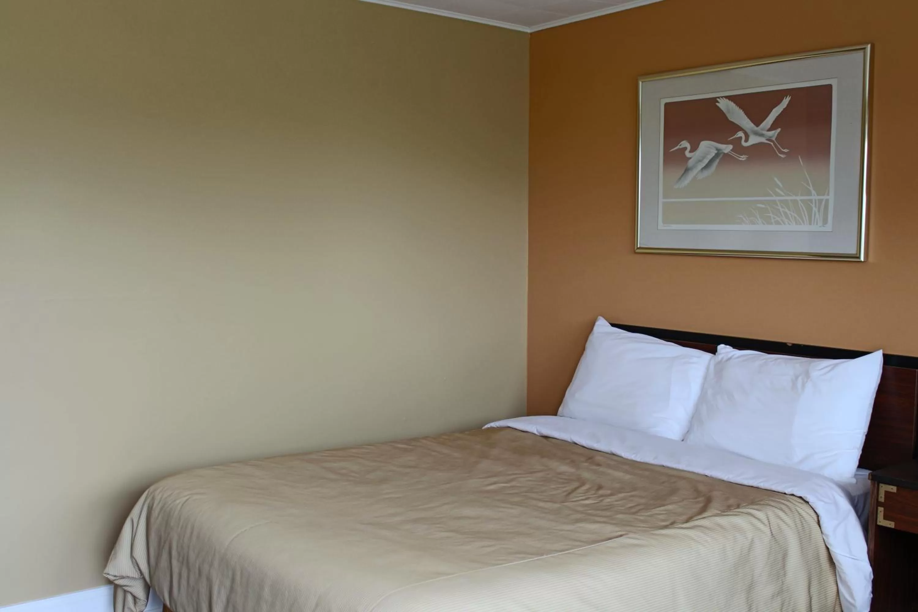 Bed in Travellers Inn