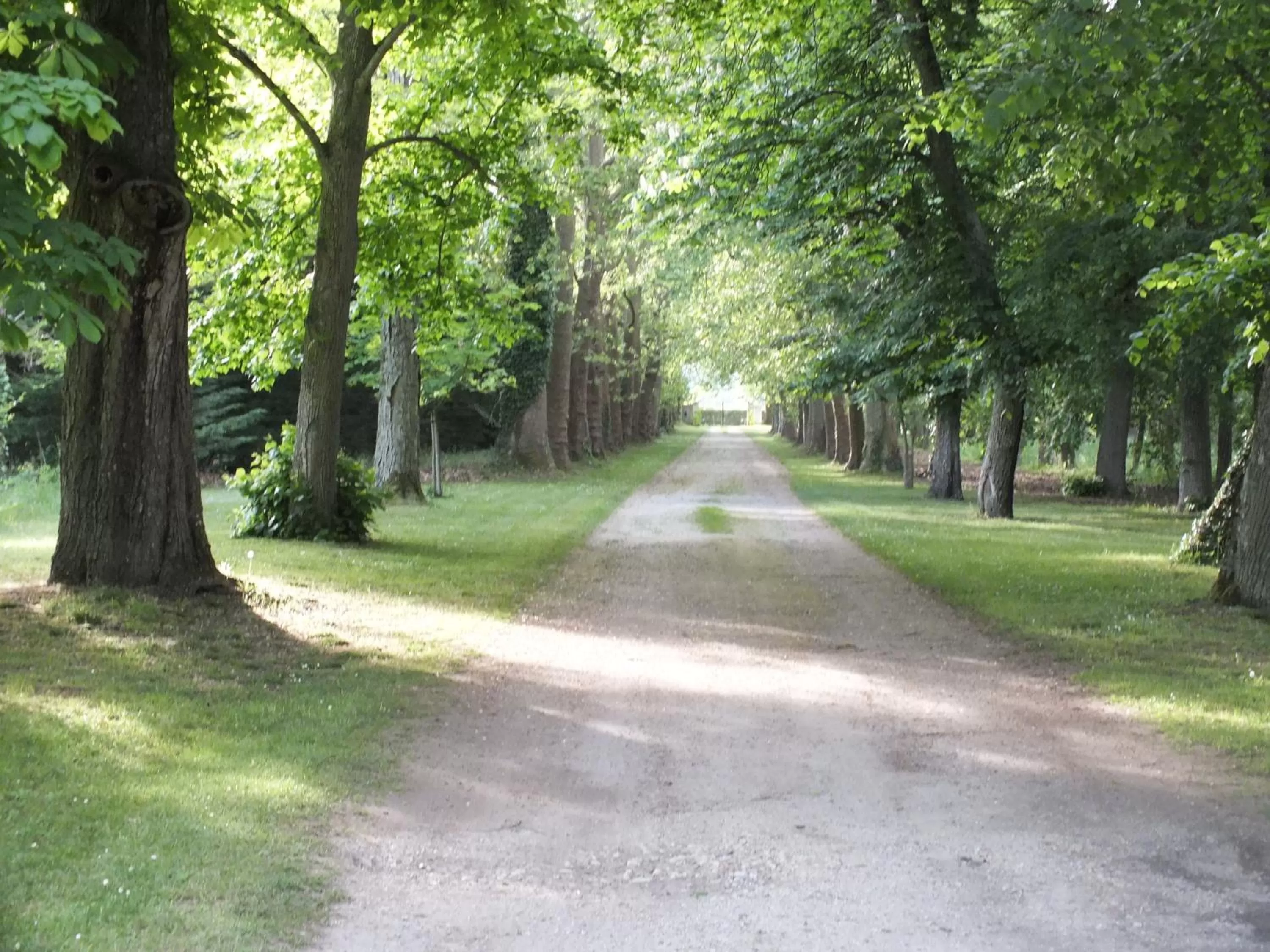 Day in Château de Nazé Vivy-Saumur