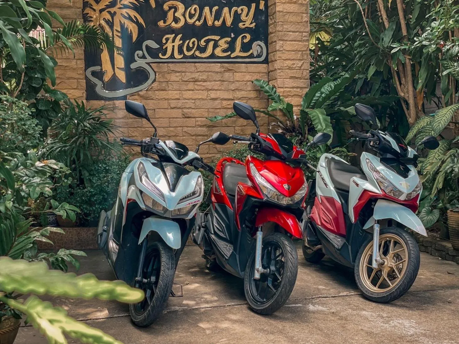 Activities in Bonny Hotel 4 Floors No Elevator