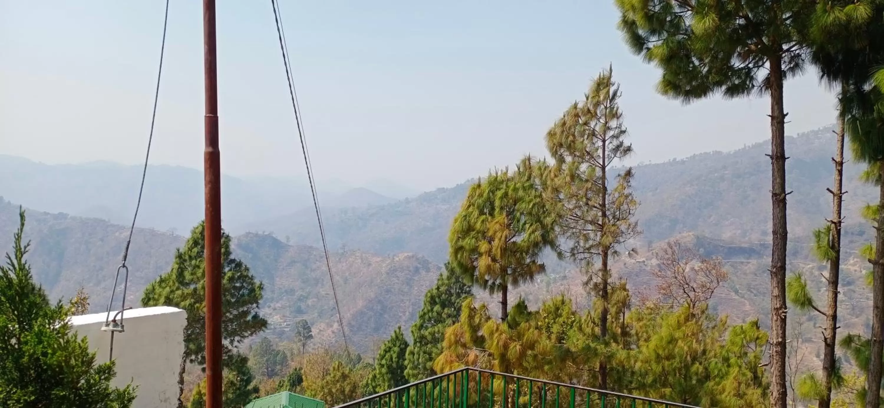 View (from property/room) in Blue Pine Orchards