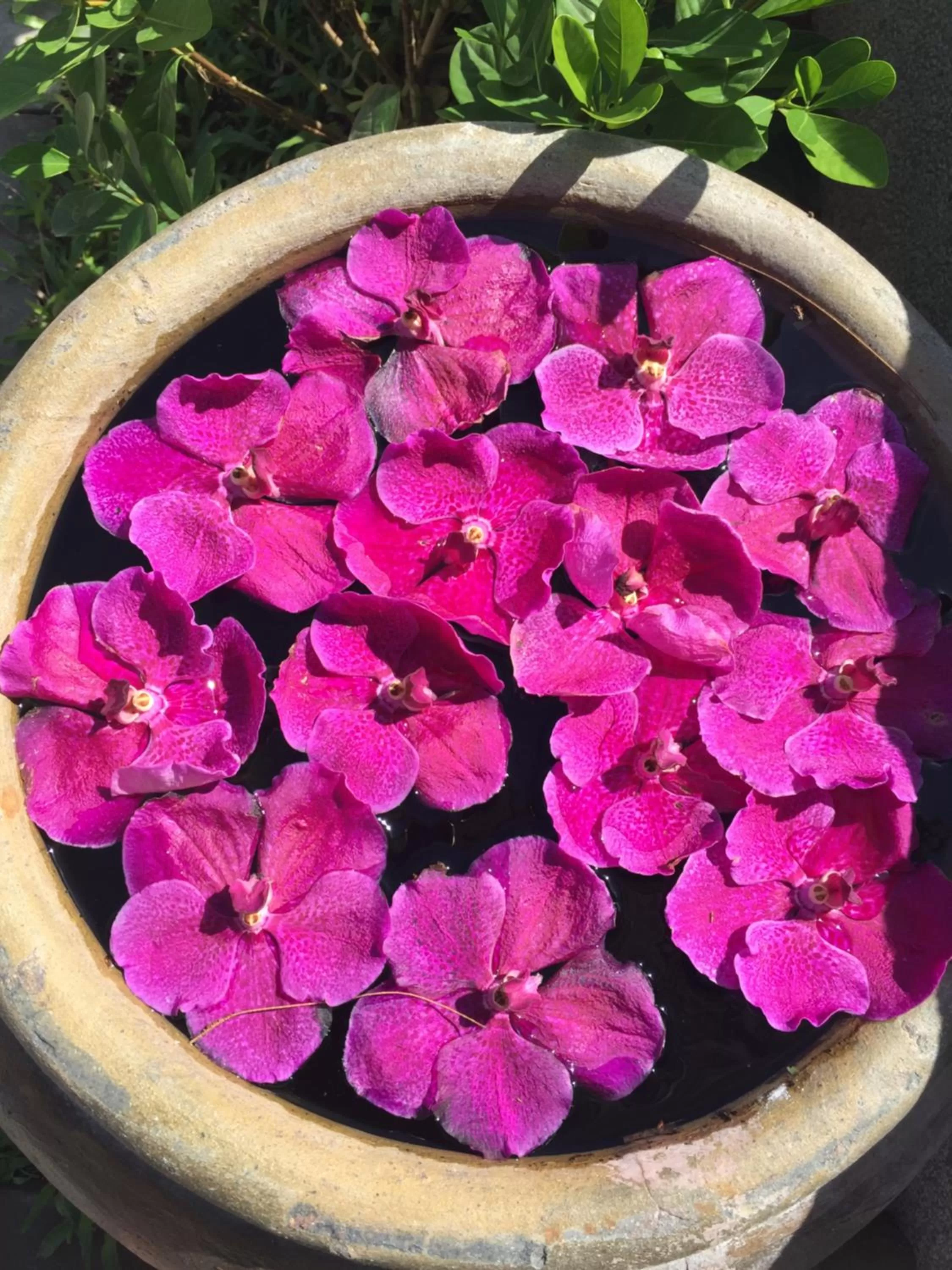 Food in BC Summer Beach