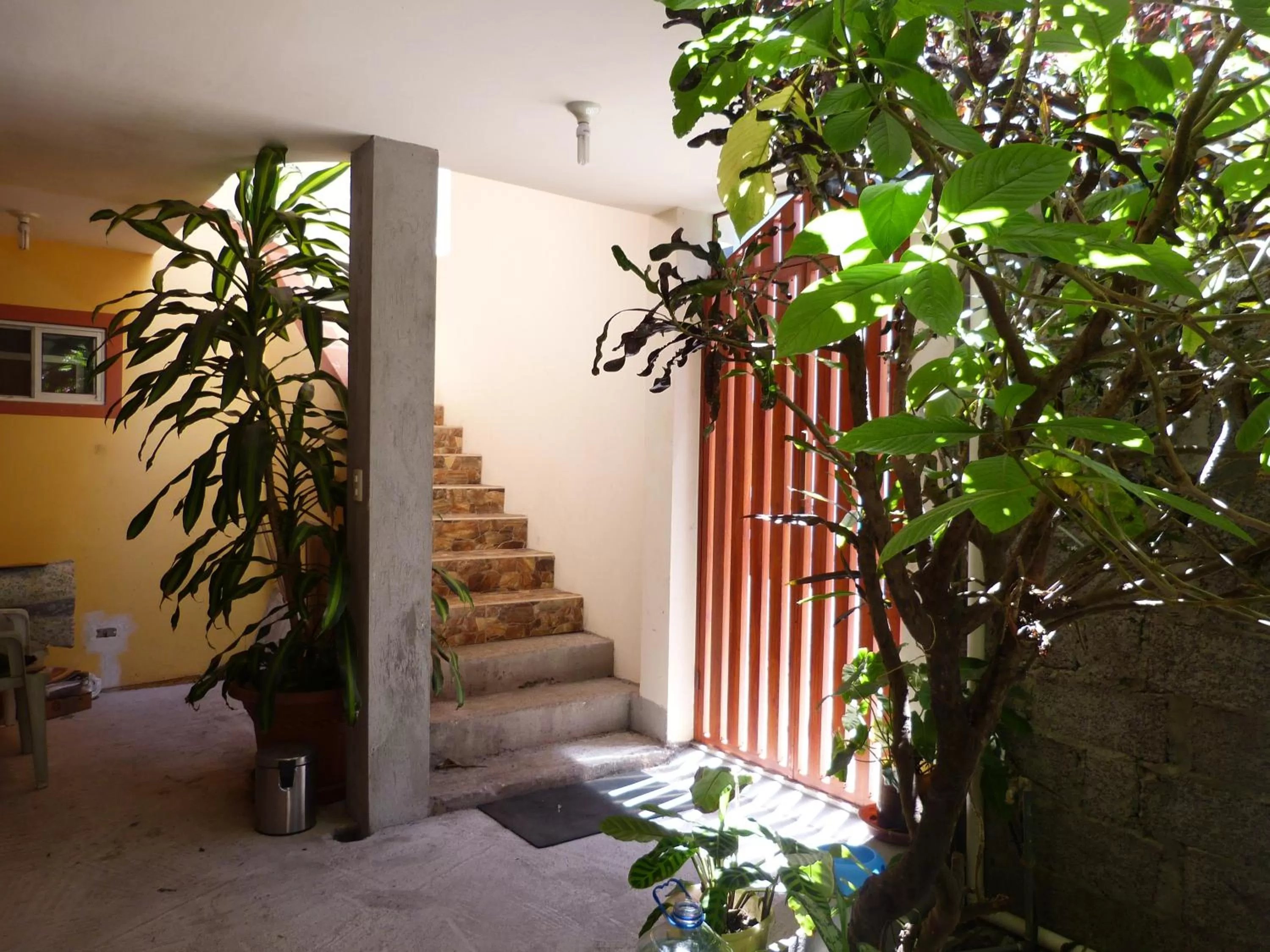 Garden in Hostal Terito