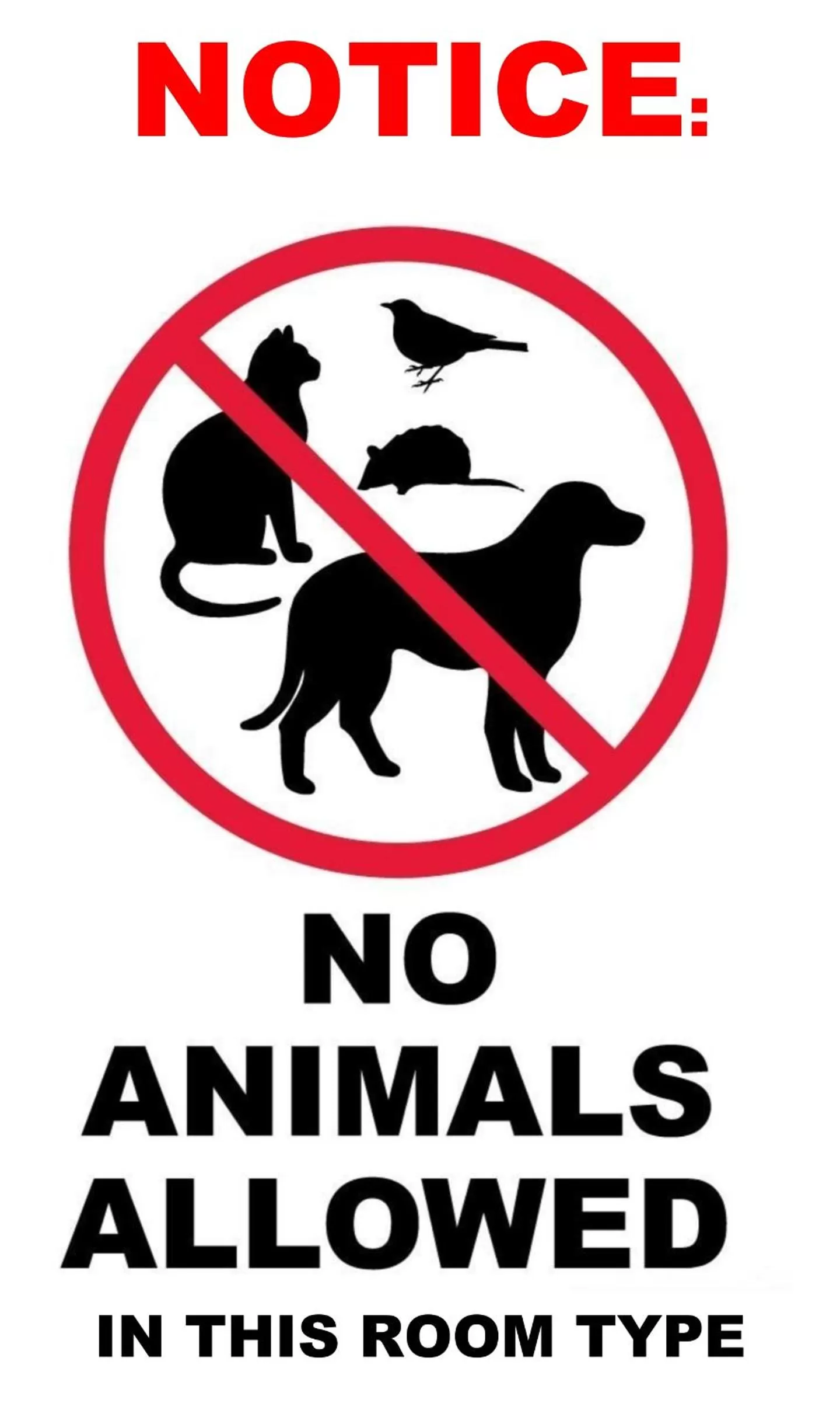 Property logo or sign in Queen City Inn