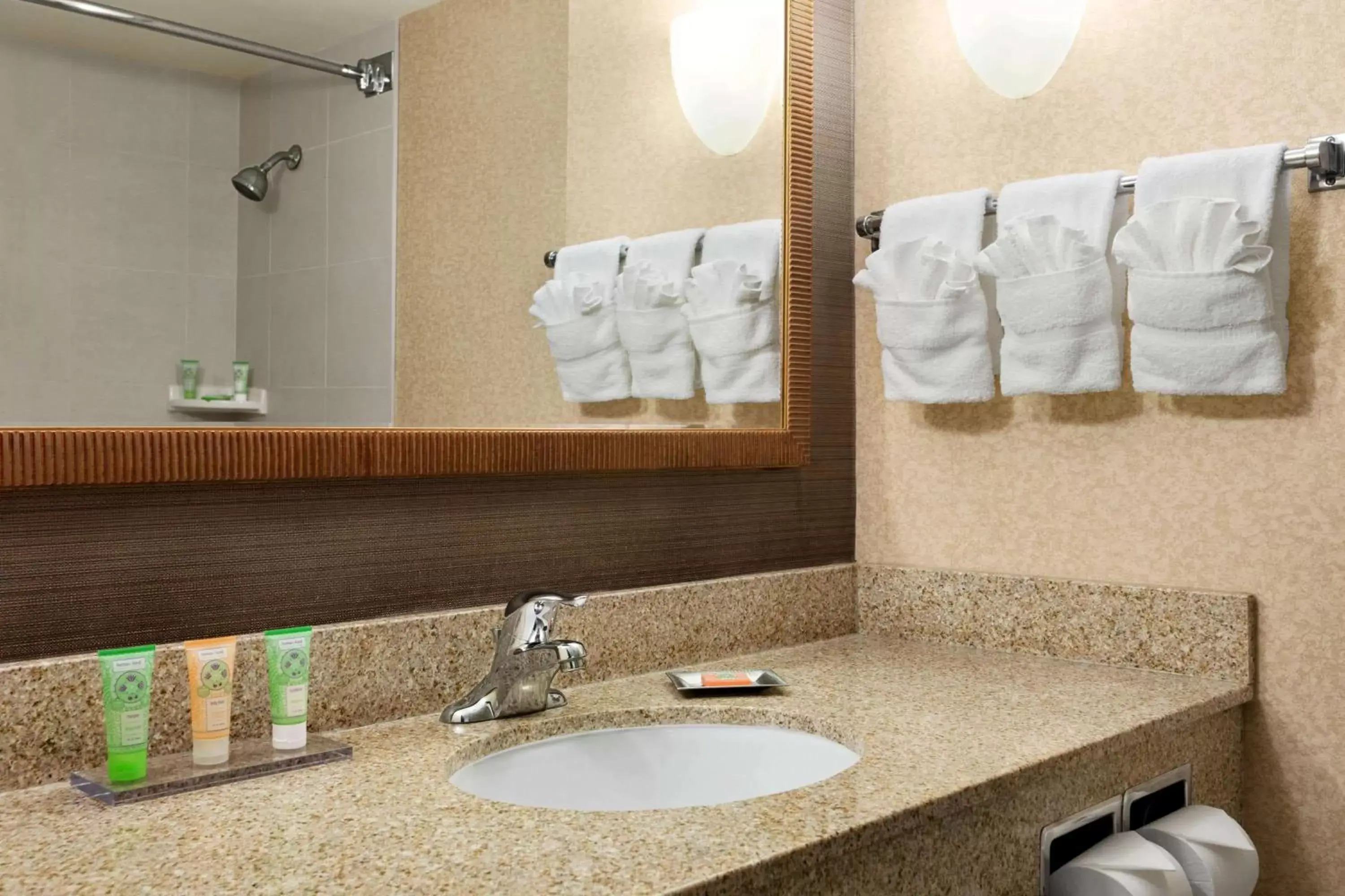 Deluxe Queen Room with Two Queen Beds in Wyndham Garden at Niagara Falls Deluxe Queen Room with Two Queen Beds in Wyndham Garden at Niagara Falls