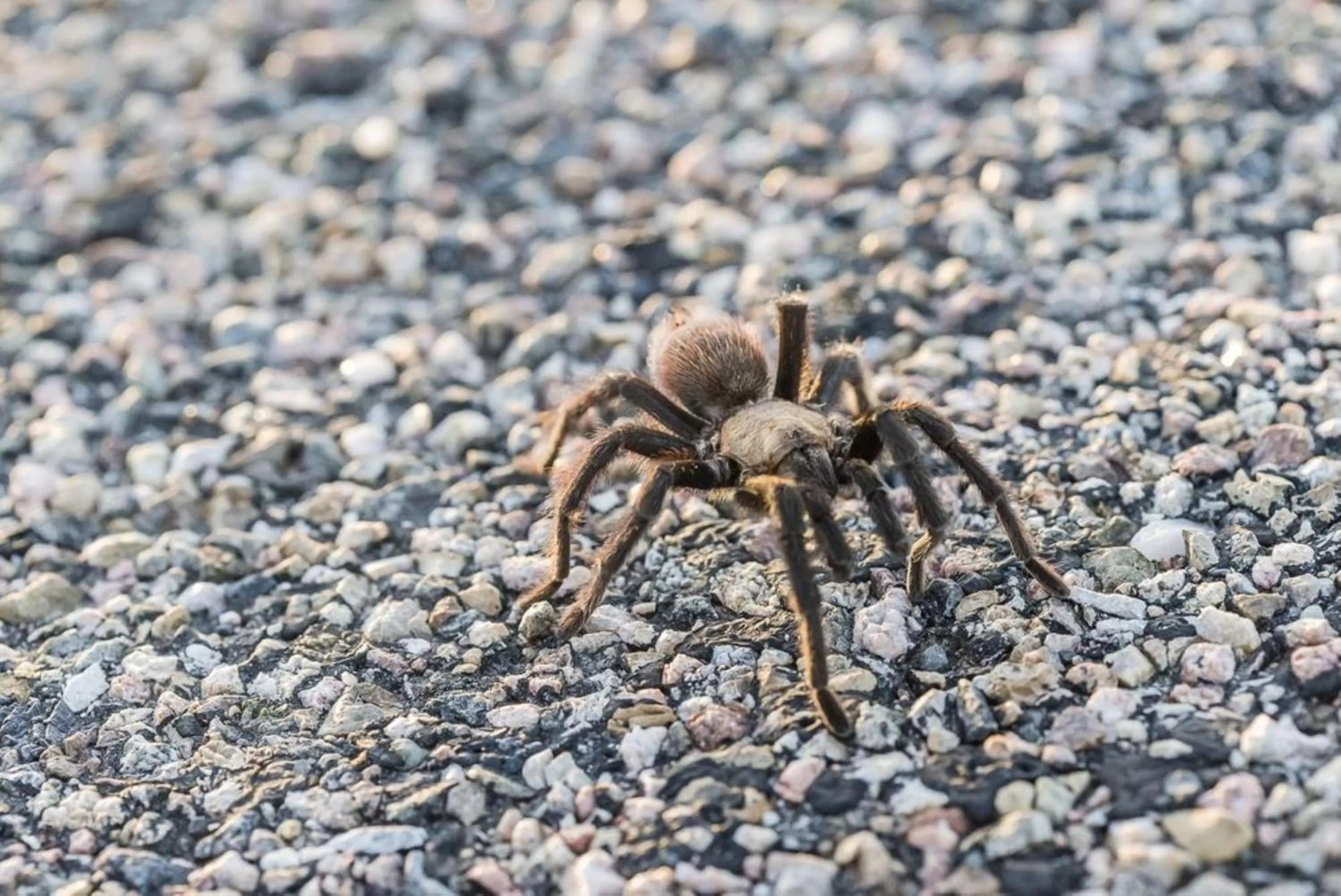 Area and facilities in Holiday Inn Express La Junta by IHG