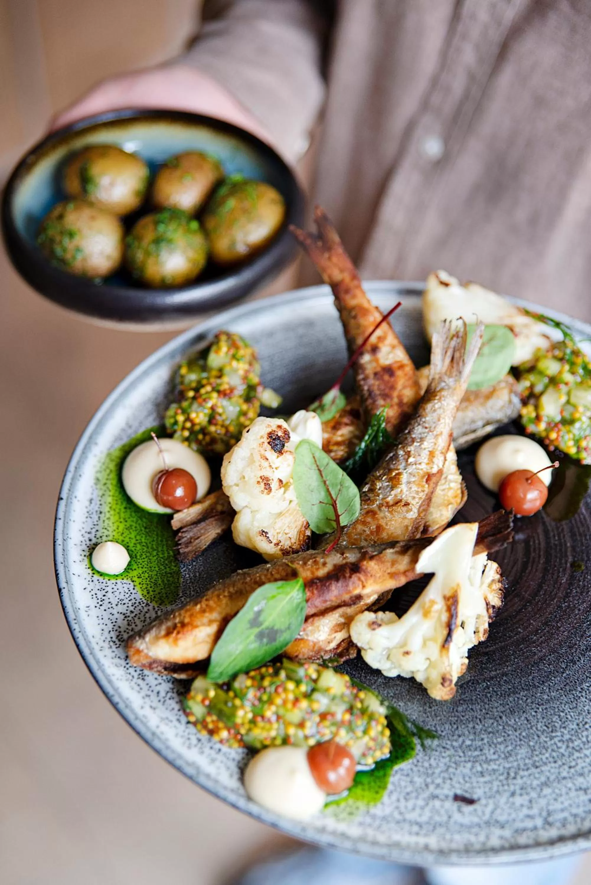 Restaurant/places to eat in Hotel Dom Zdrojowy Gdańsk