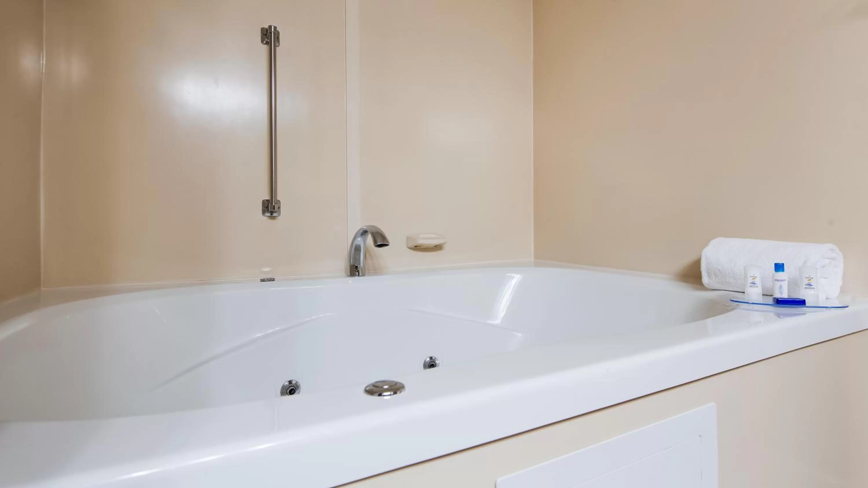 Bathroom in Best Western Delta Inn