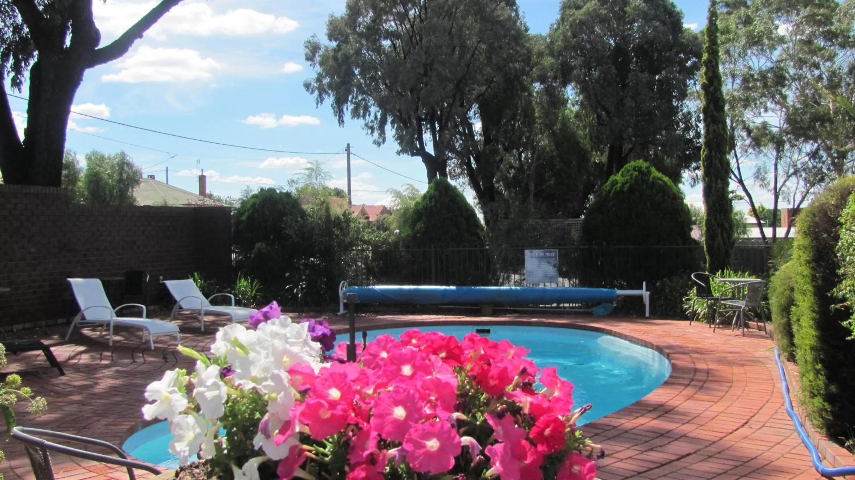 Other, Swimming Pool in Bristol Hill Motor Inn
