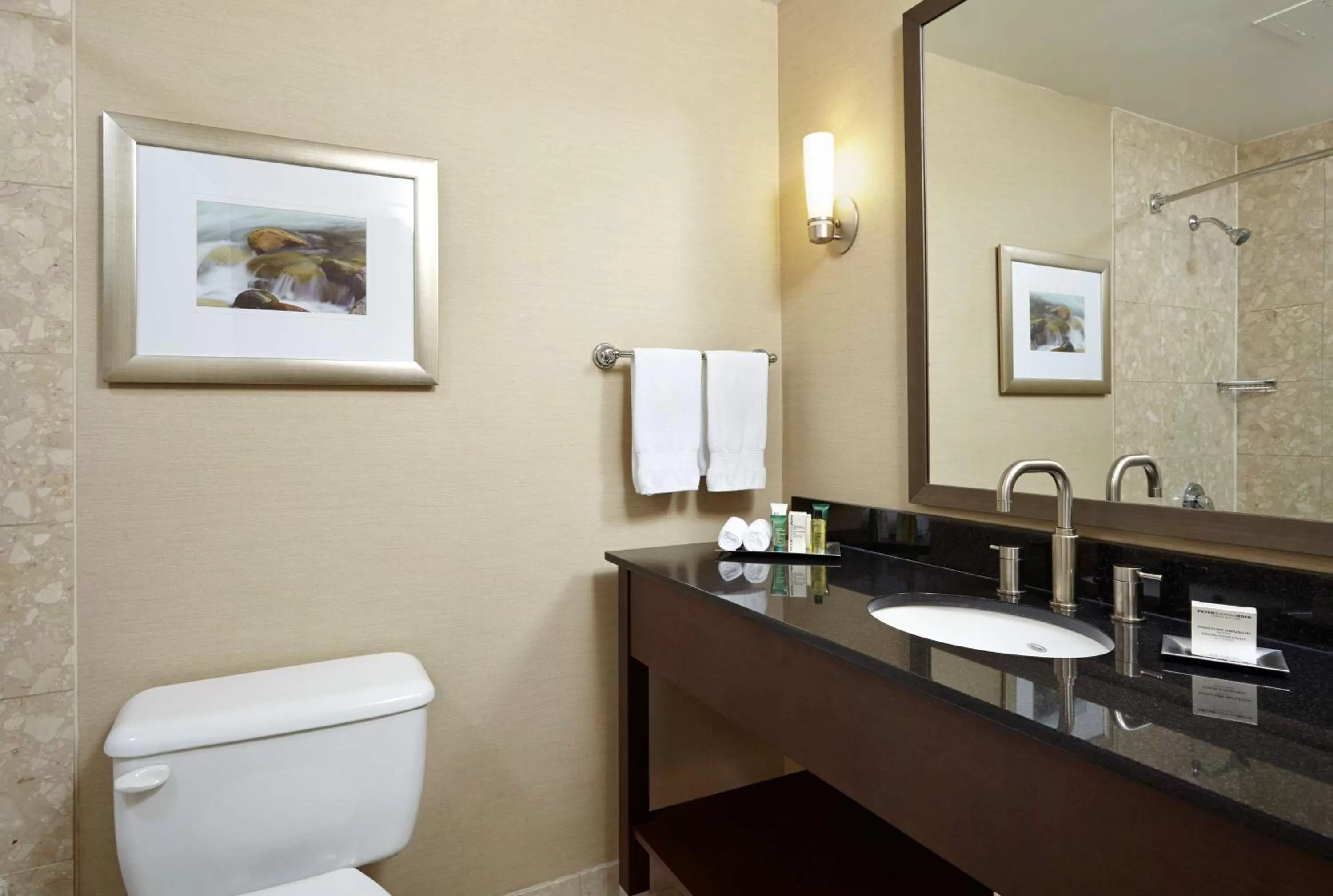 Bathroom in Hilton Saint John