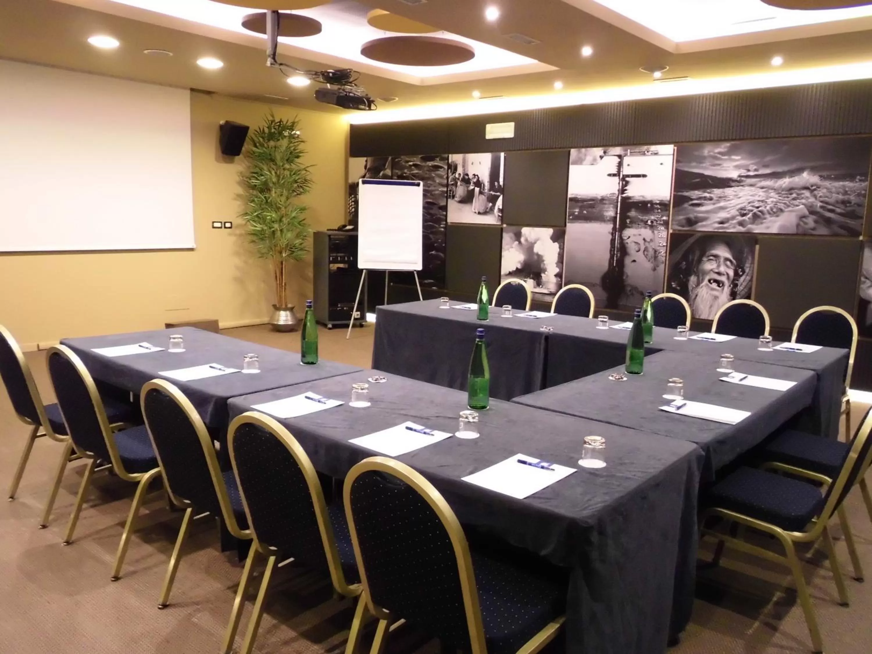Business facilities in Hotel Tiber